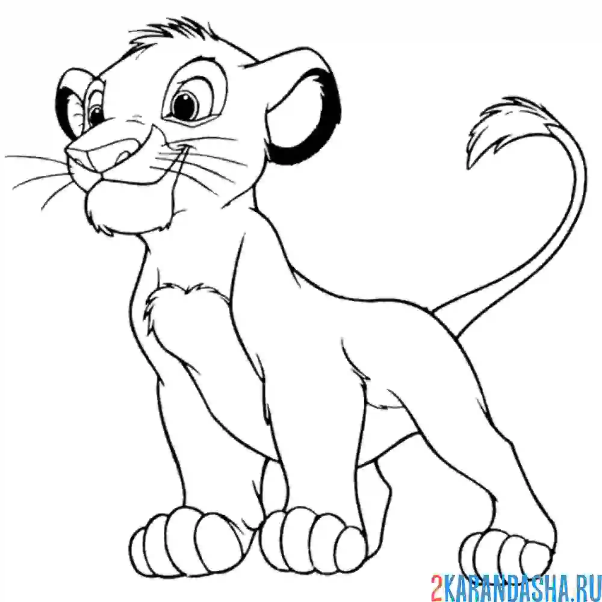 Раскраска симба будущий царь