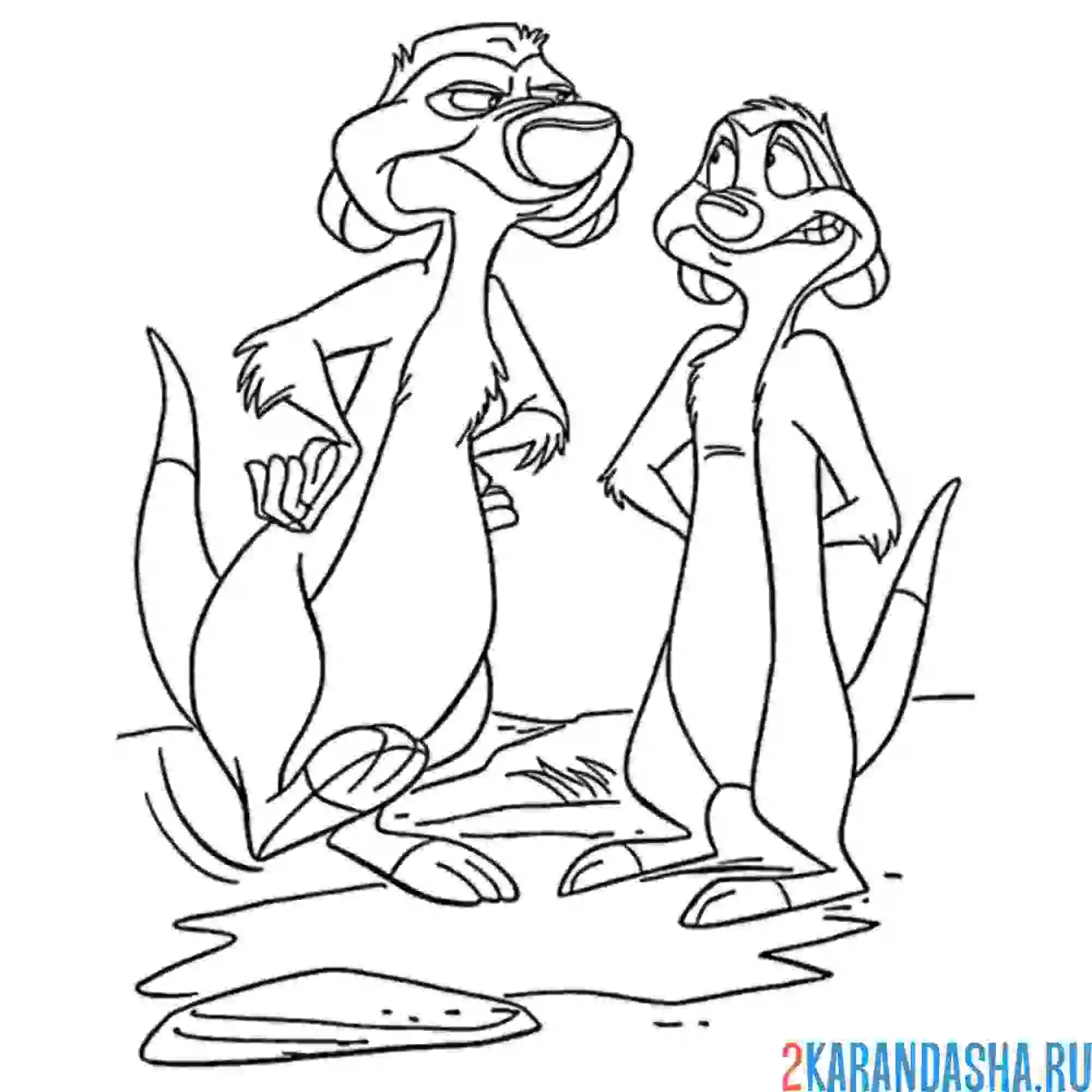 Раскраска тимон вляпался