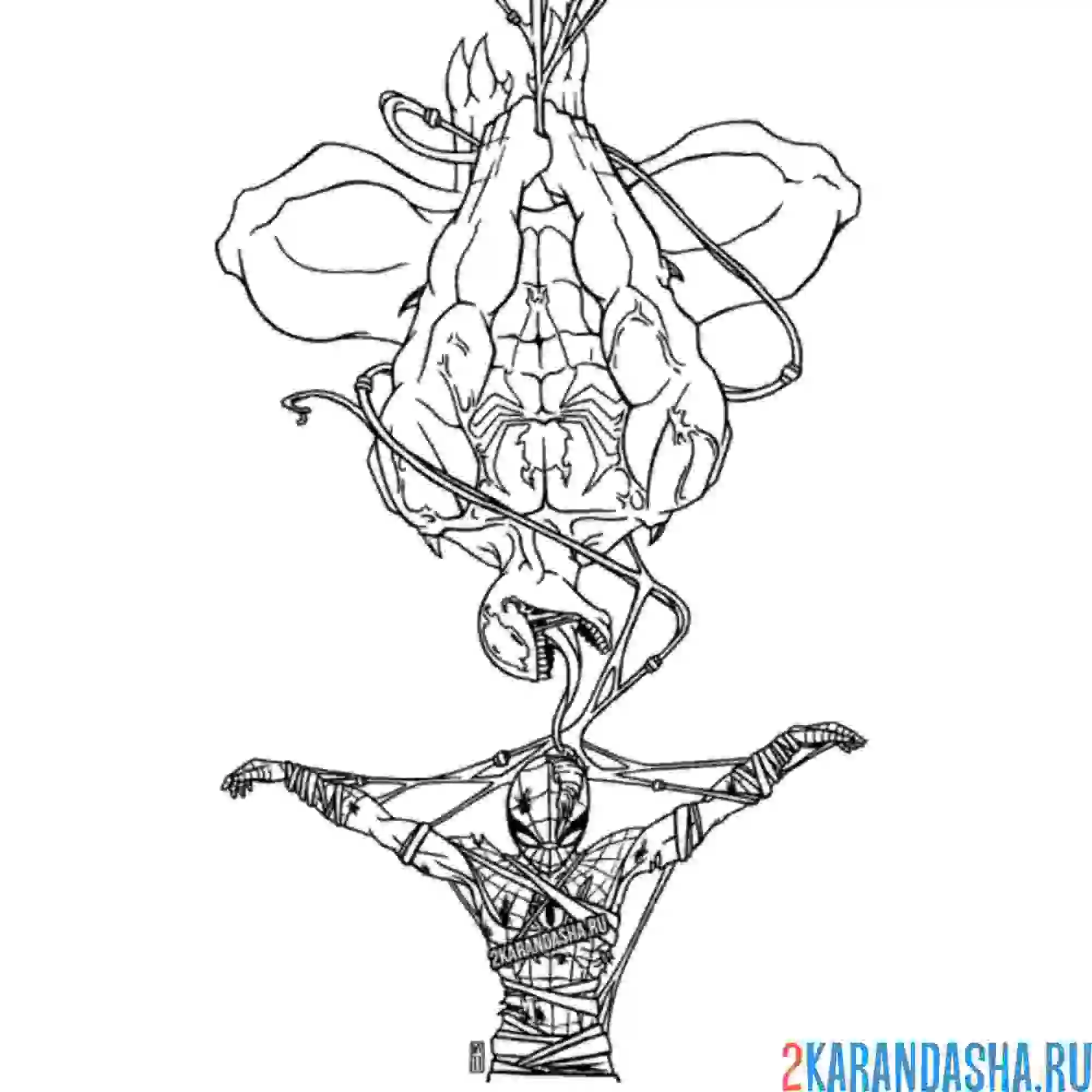 Раскраска веном поймал человека-паука