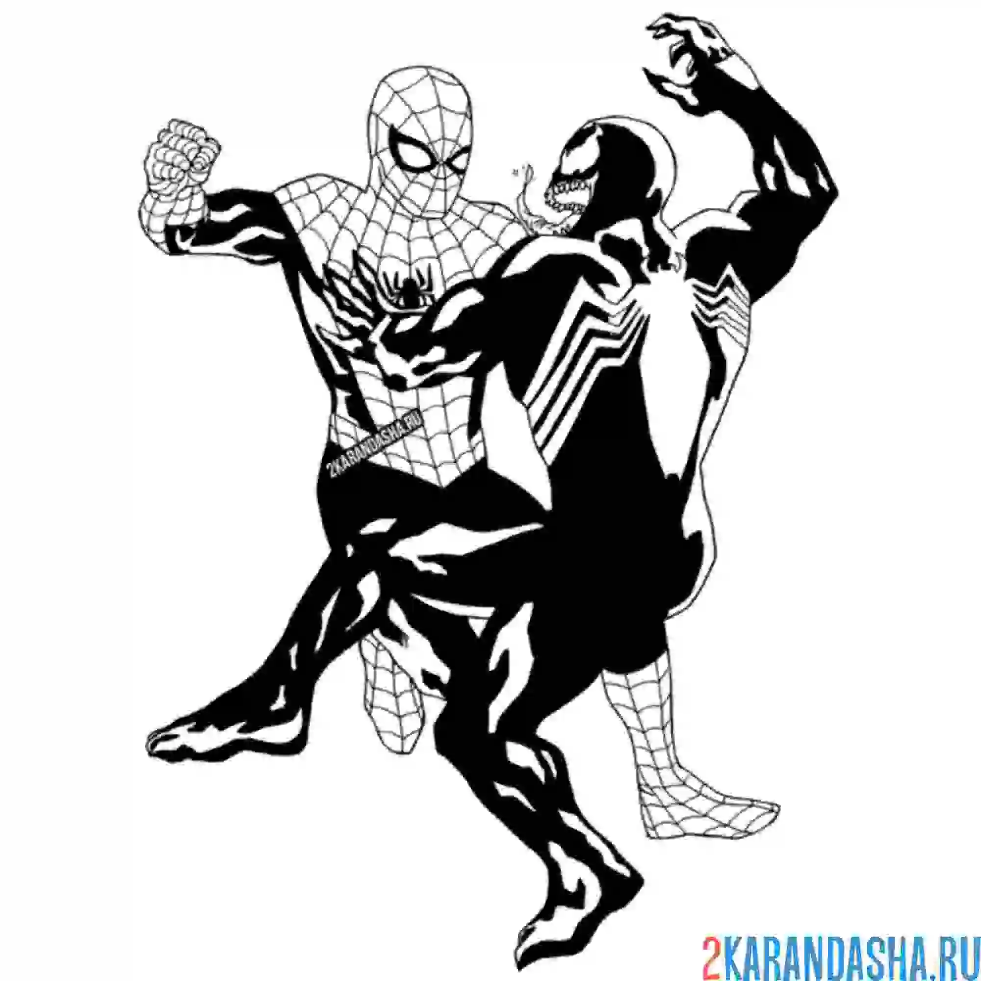 Раскраска человек-паук в схватке с веномом