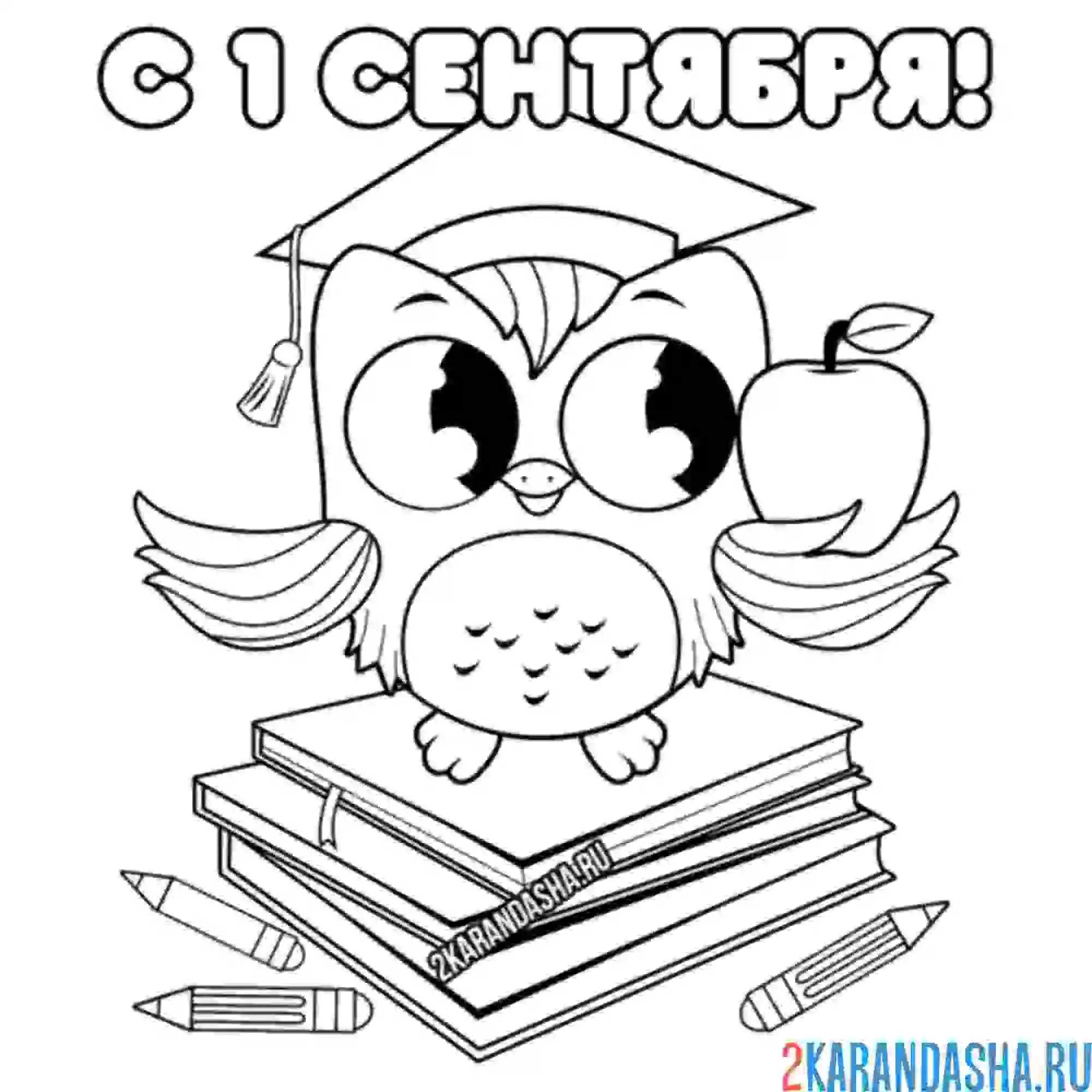 Раскраска с 1 сентября сова