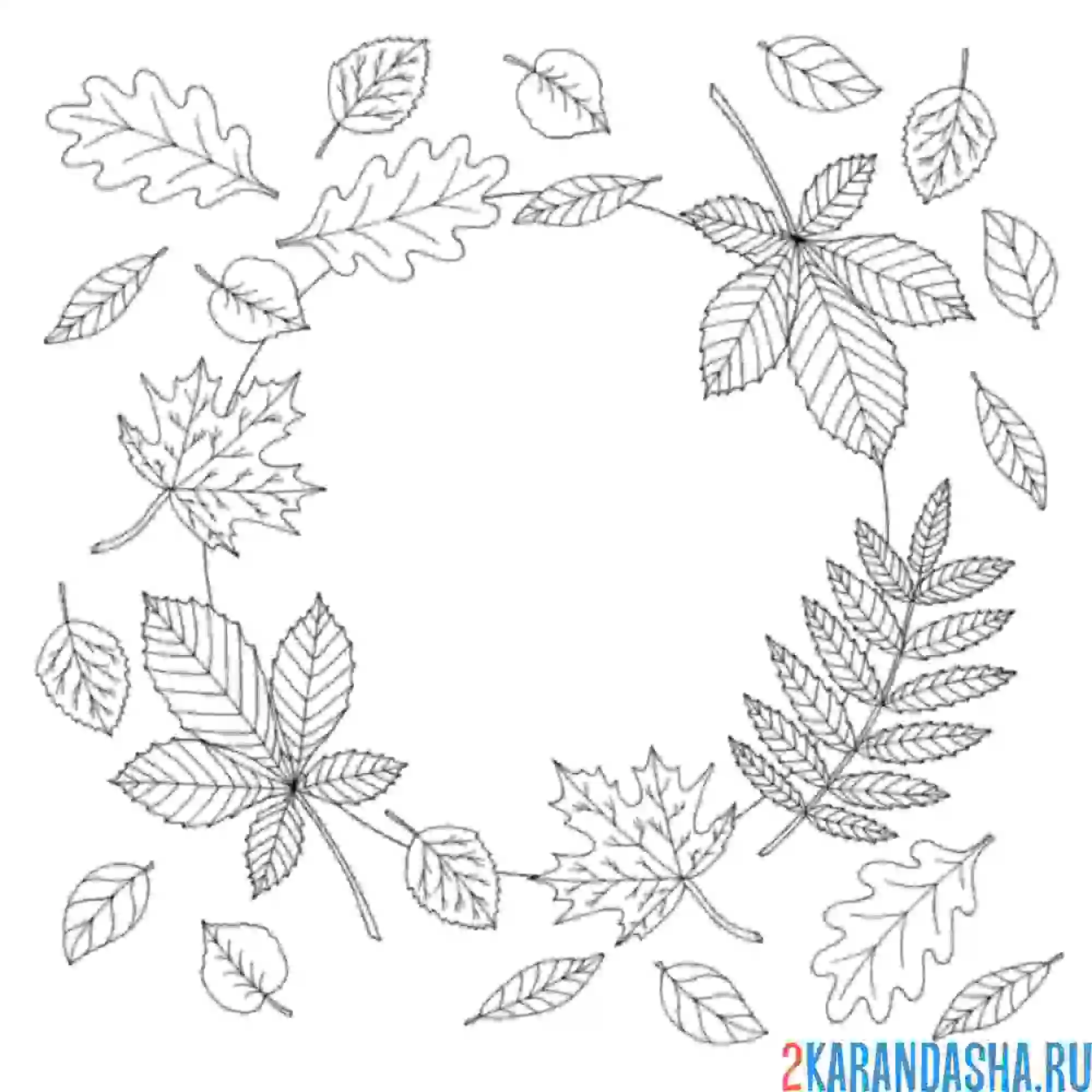 Раскраска листья по кругу