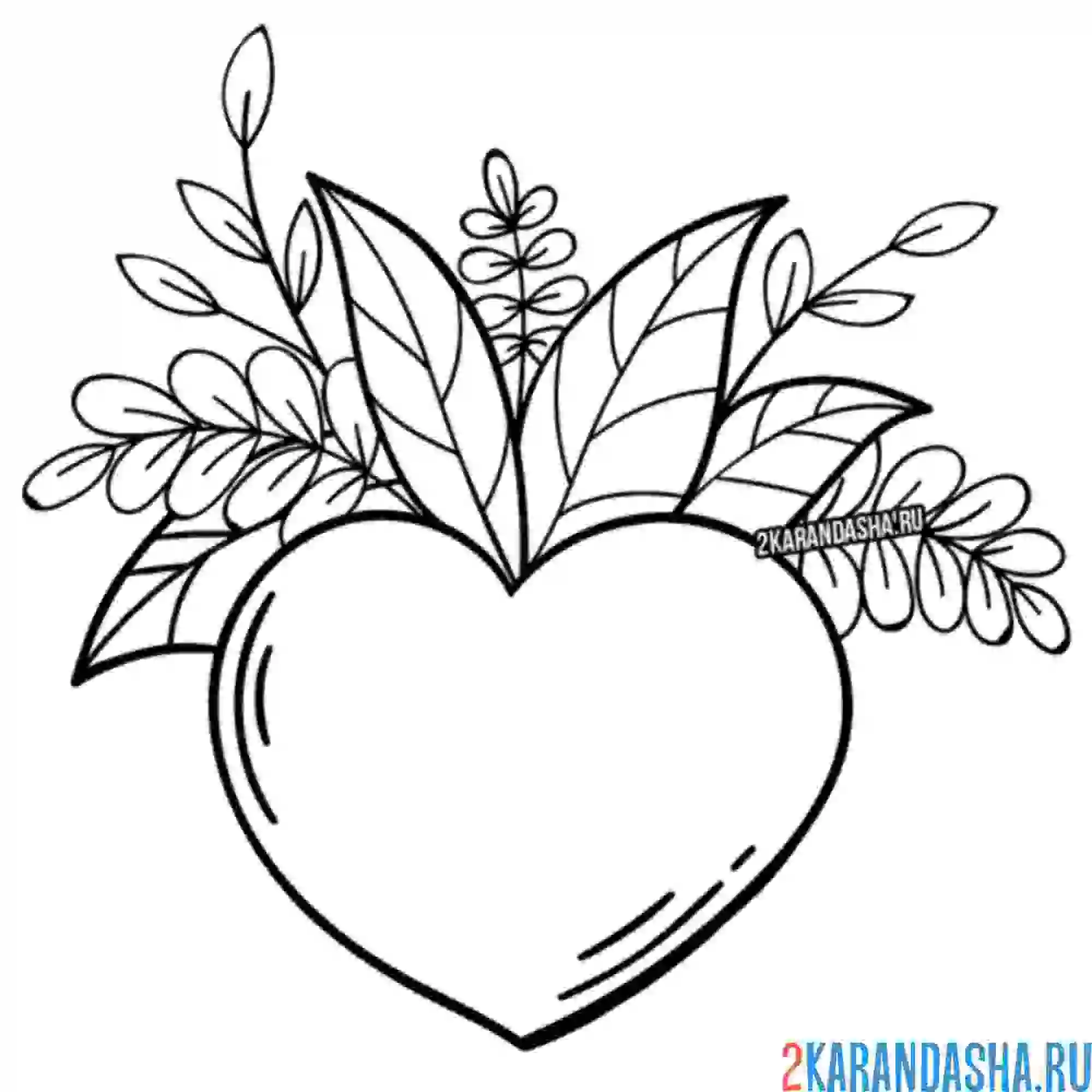 Раскраска листья в сердце
