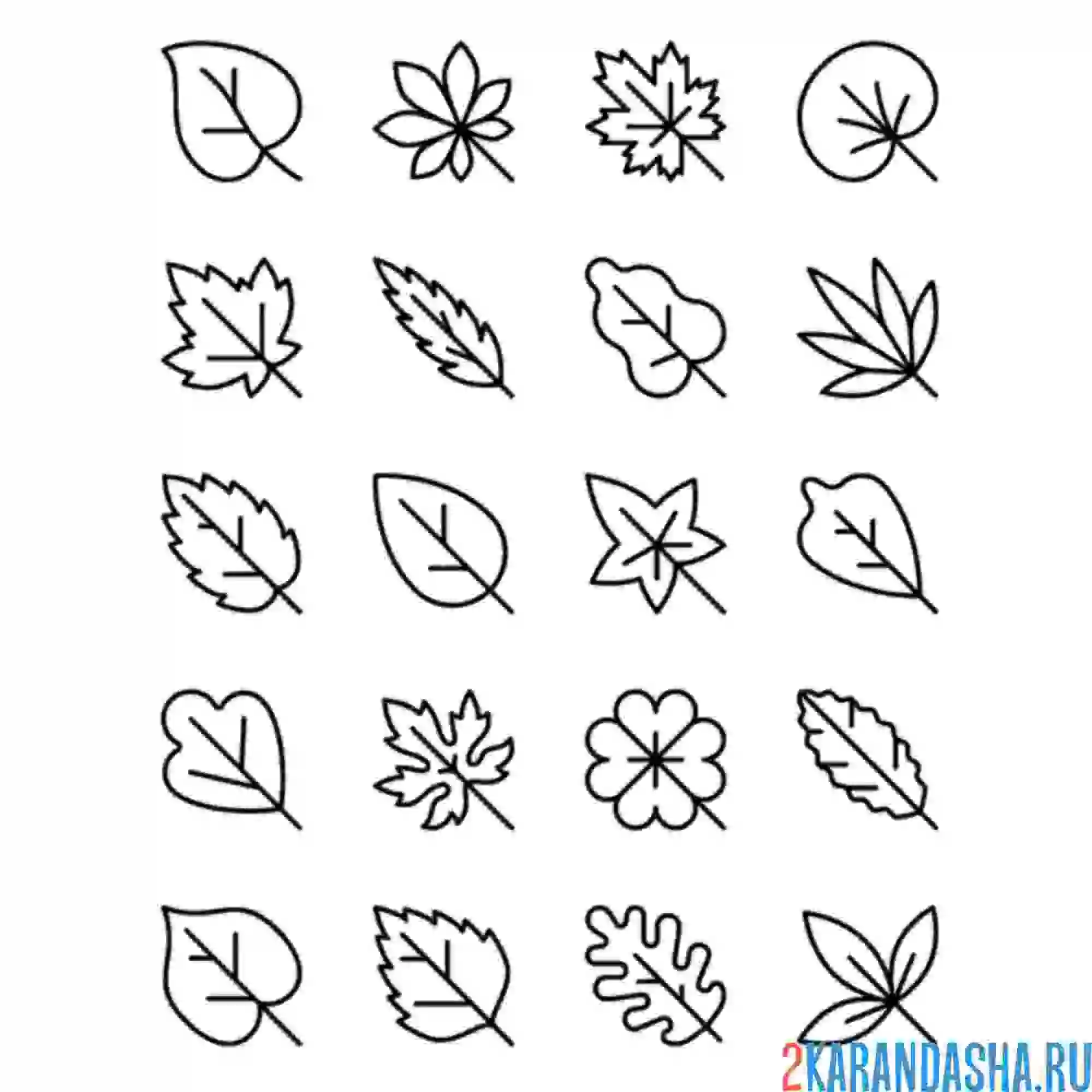 Раскраска листья разные иконки