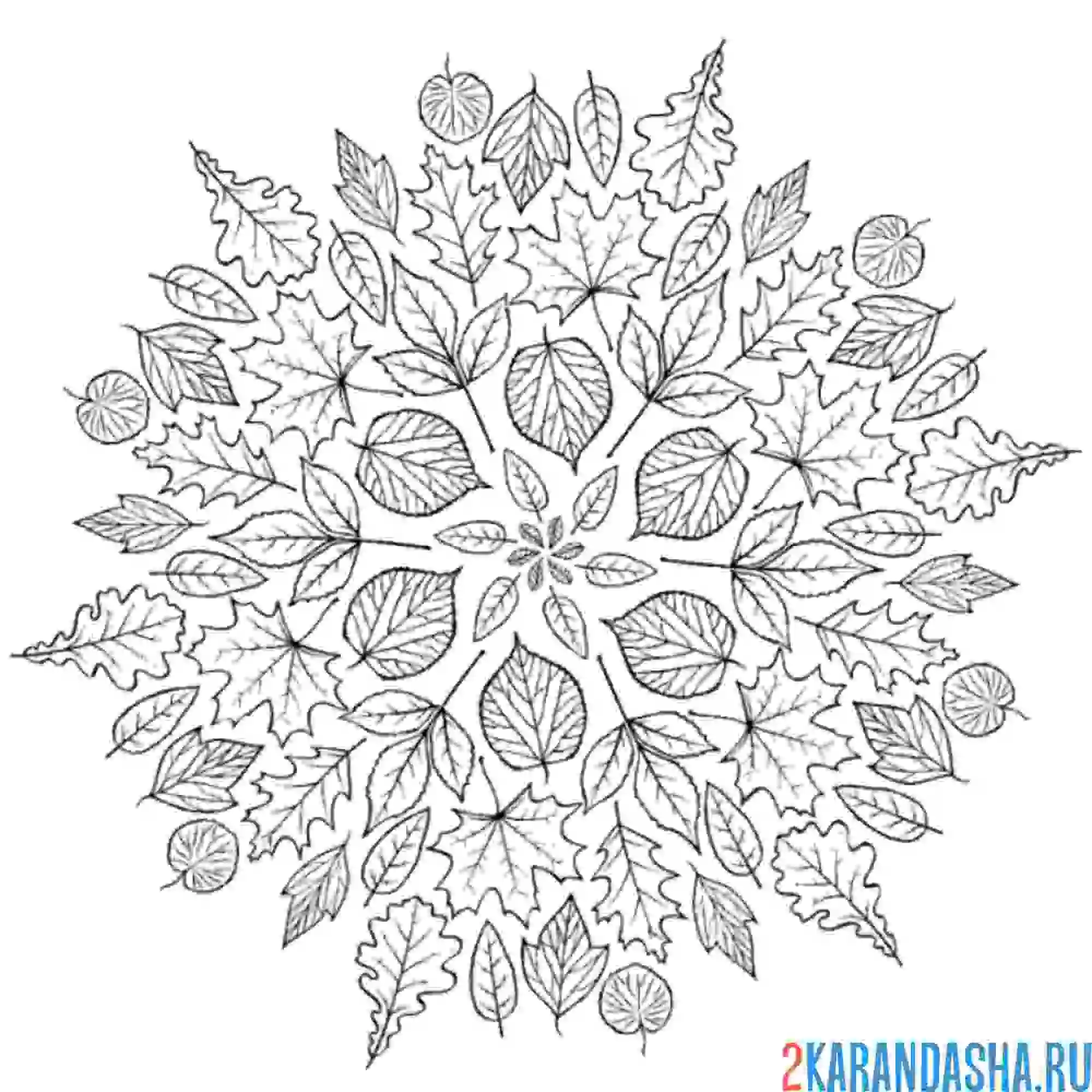Раскраска листья в круге