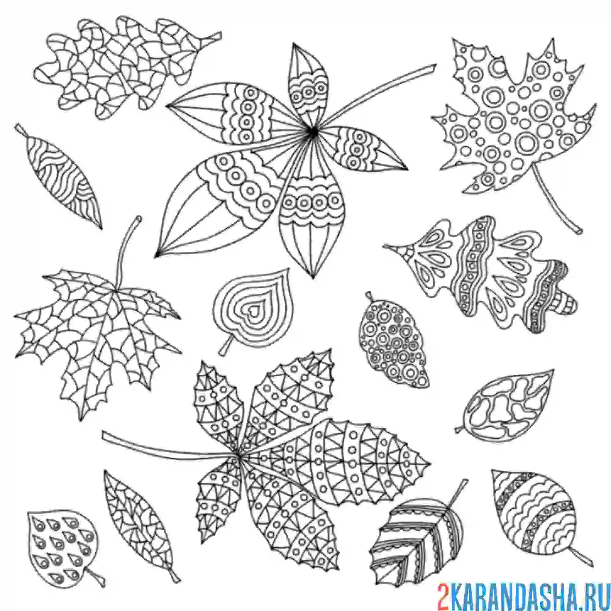 Раскраска узоры на разных листьях