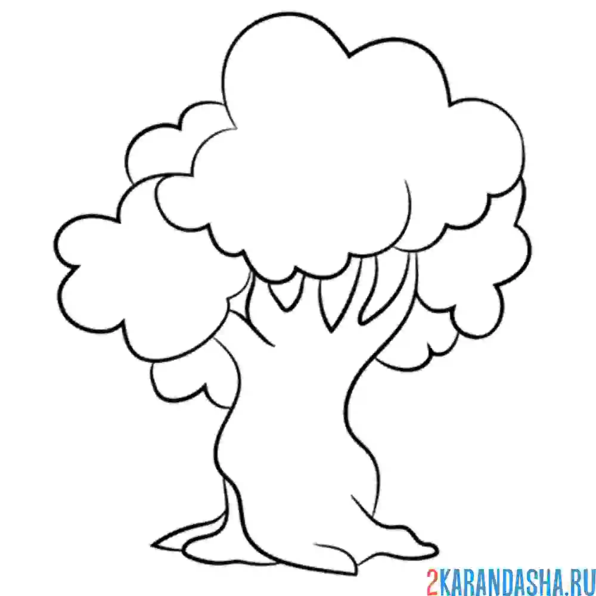 Раскраска дуб