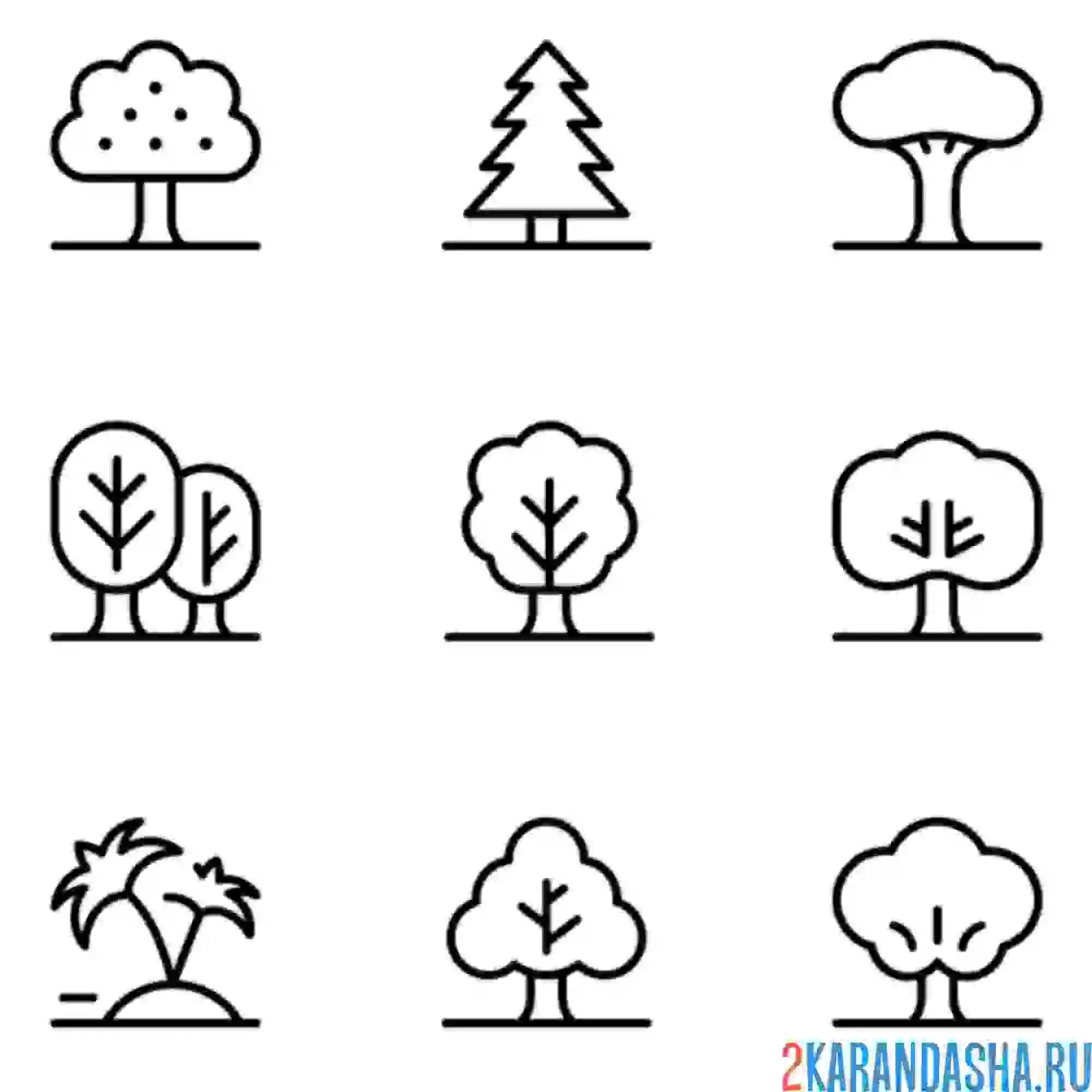 Раскраска деревья разные виды