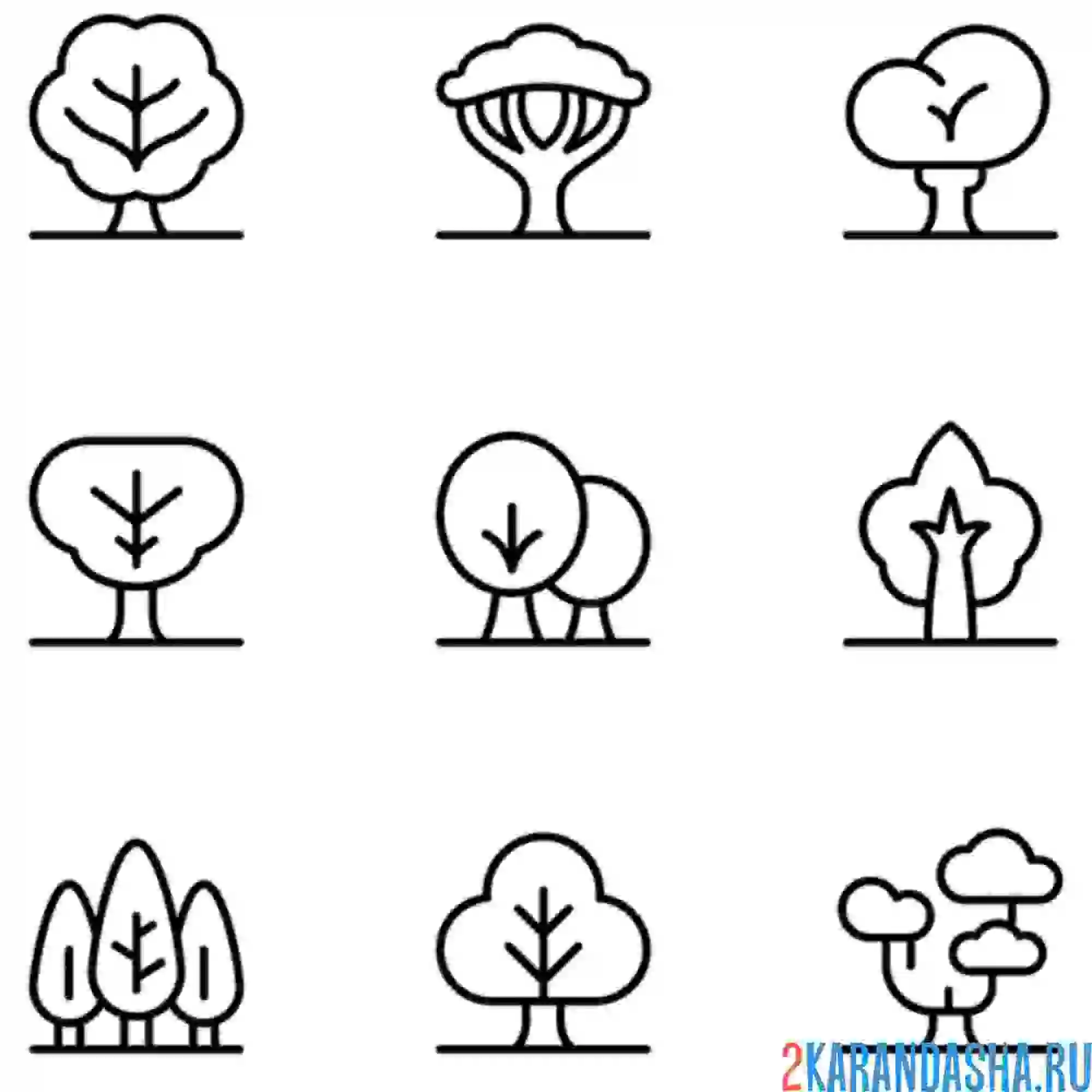 Раскраска виды разных деревьев