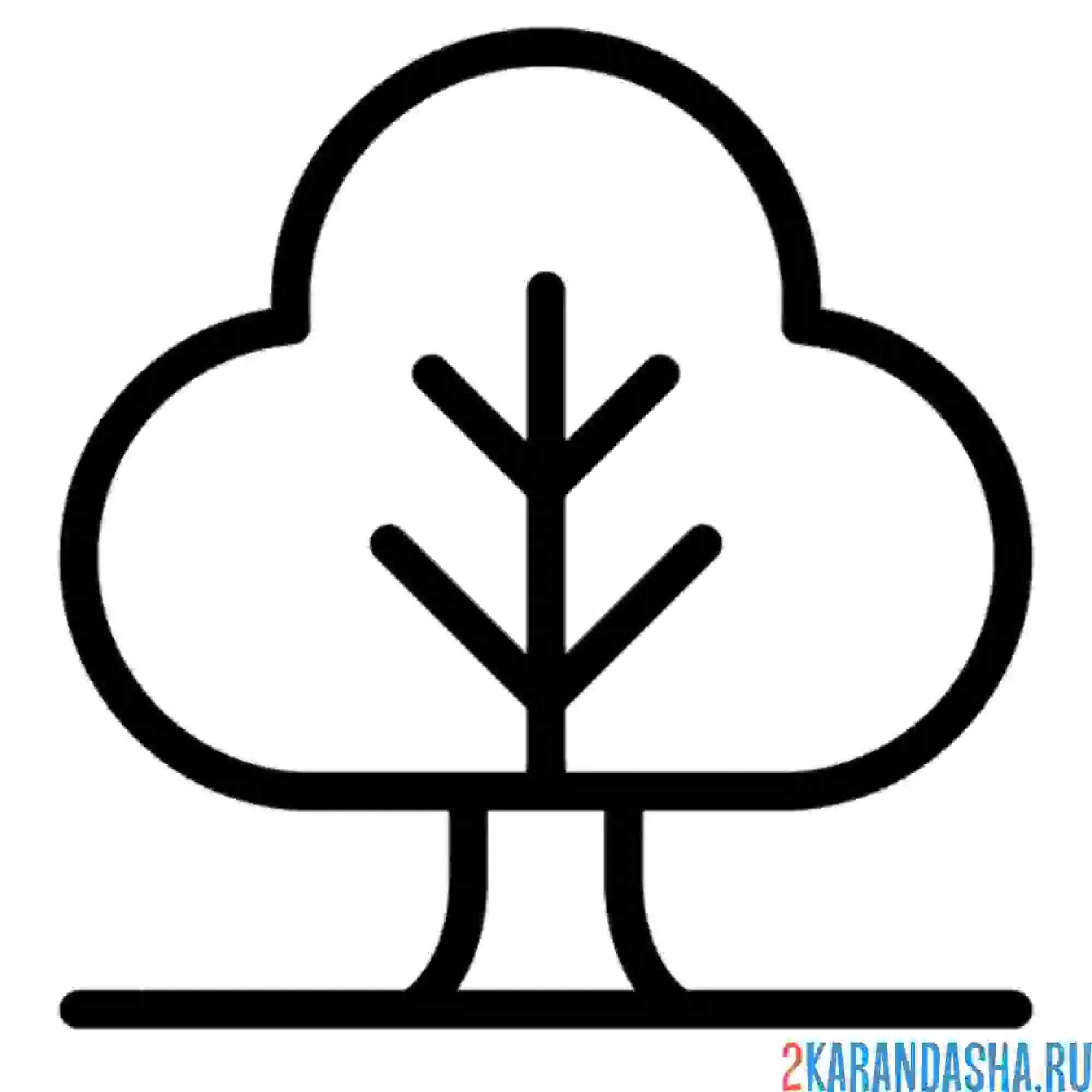 Раскраска простой рисунок дерева