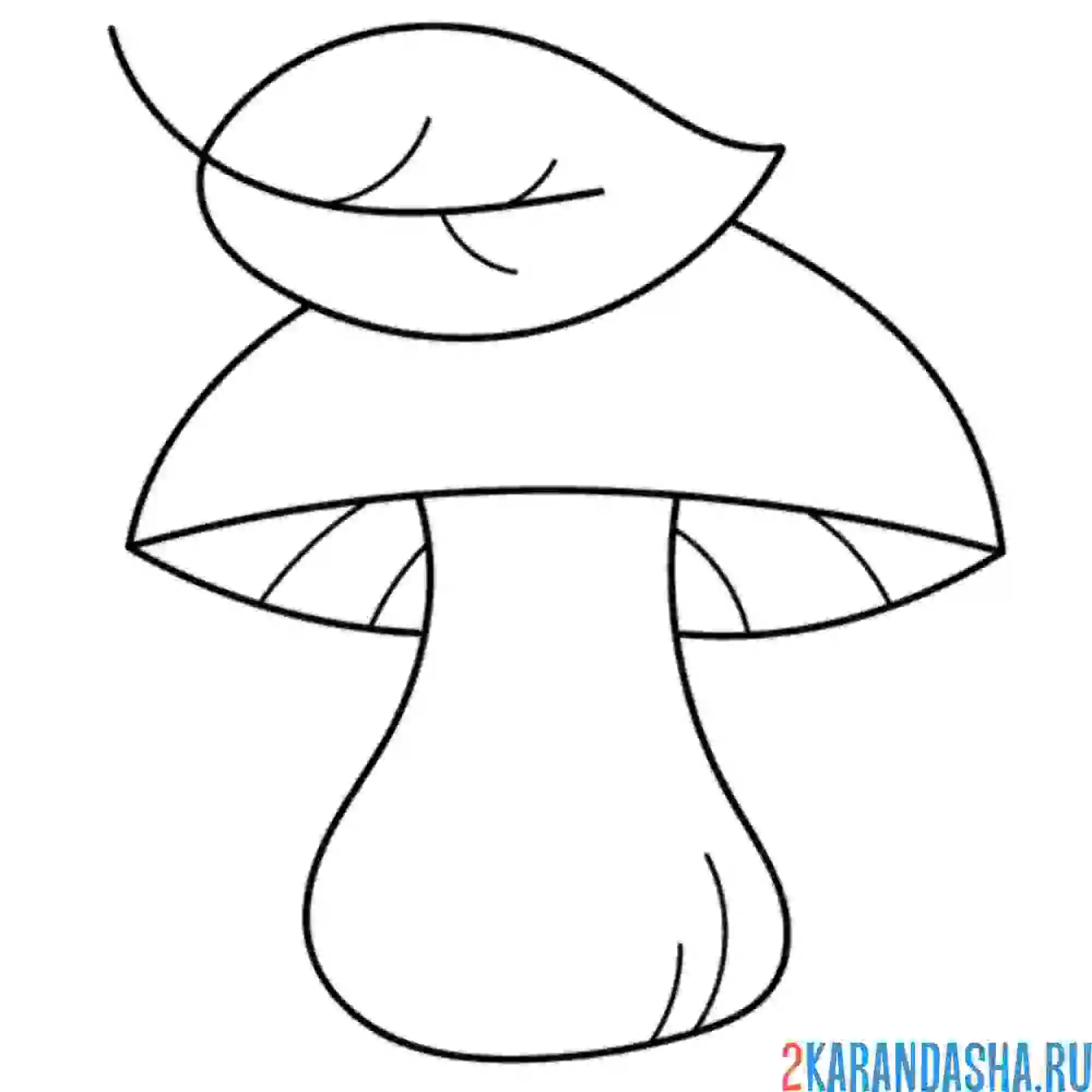 Раскраска белый гриб с листочком