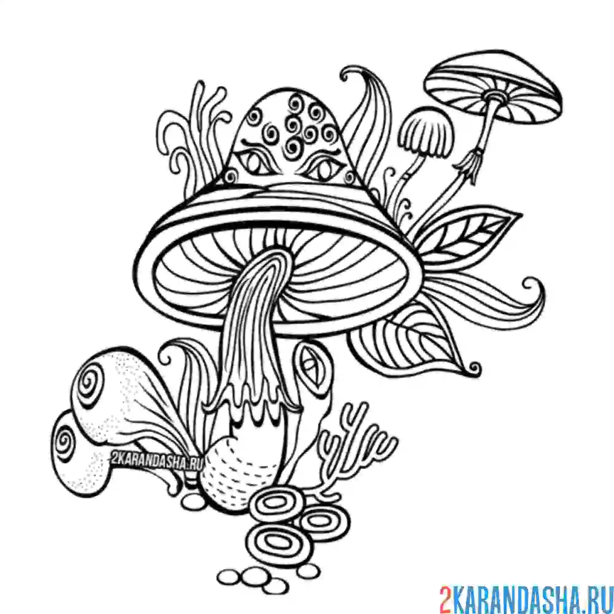 Раскраска грибы антистресс