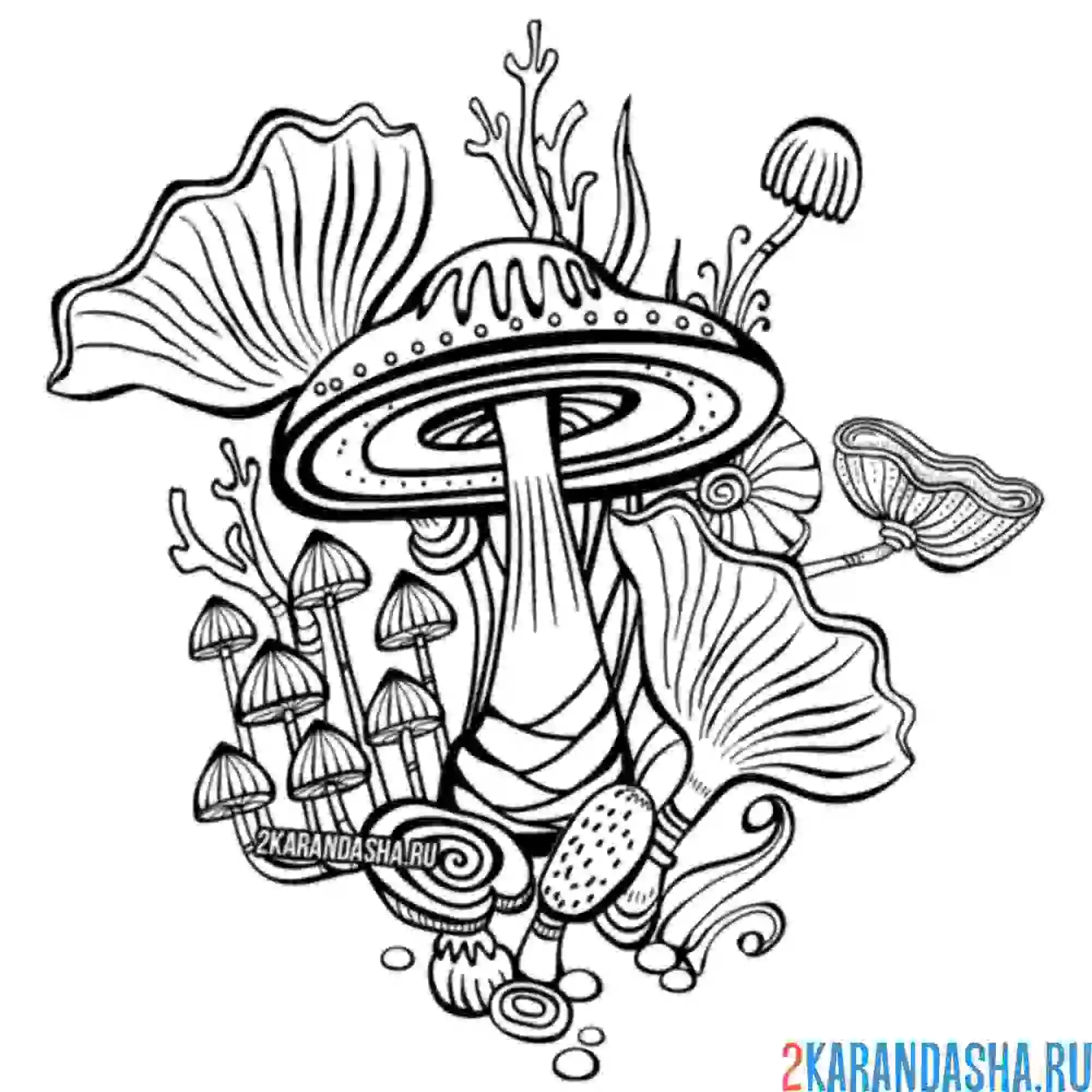 Раскраска грибная тема