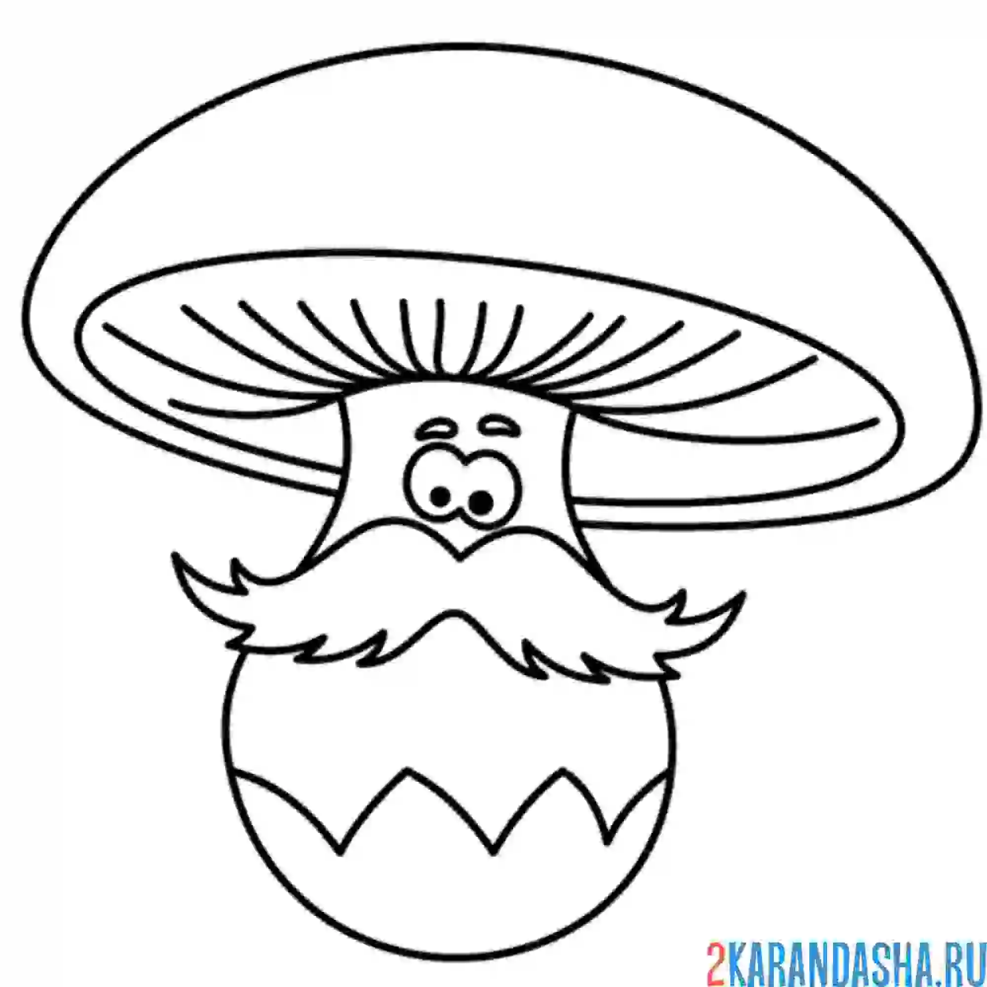 Раскраска гриб старичок