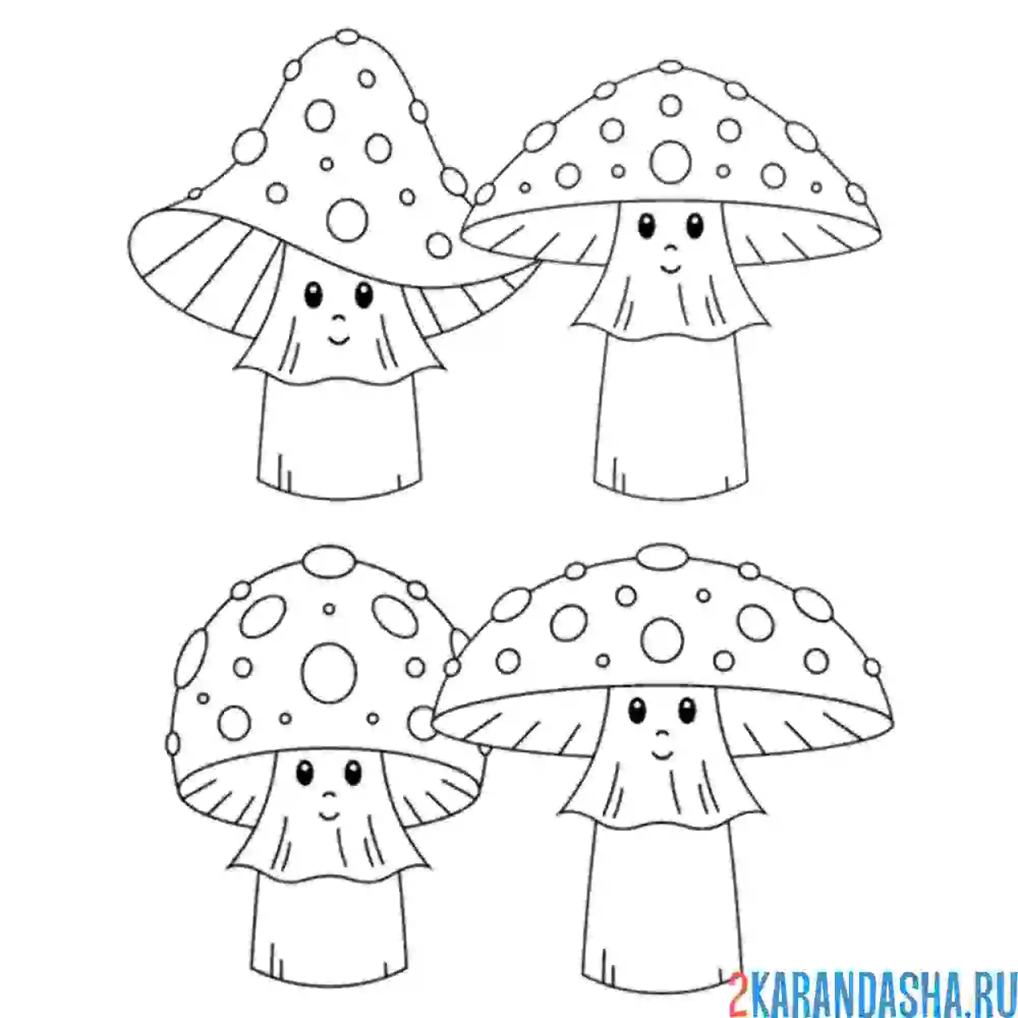 Раскраска четыре гриба