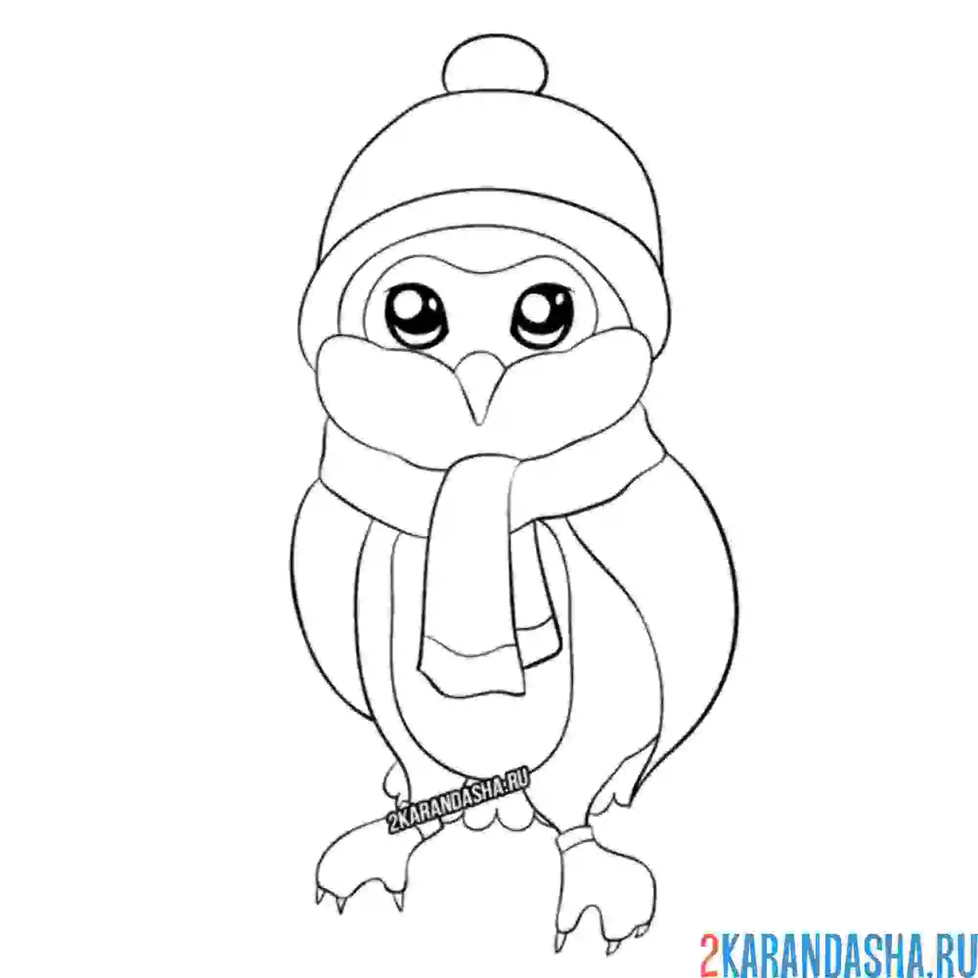 Раскраска совенок в шапке