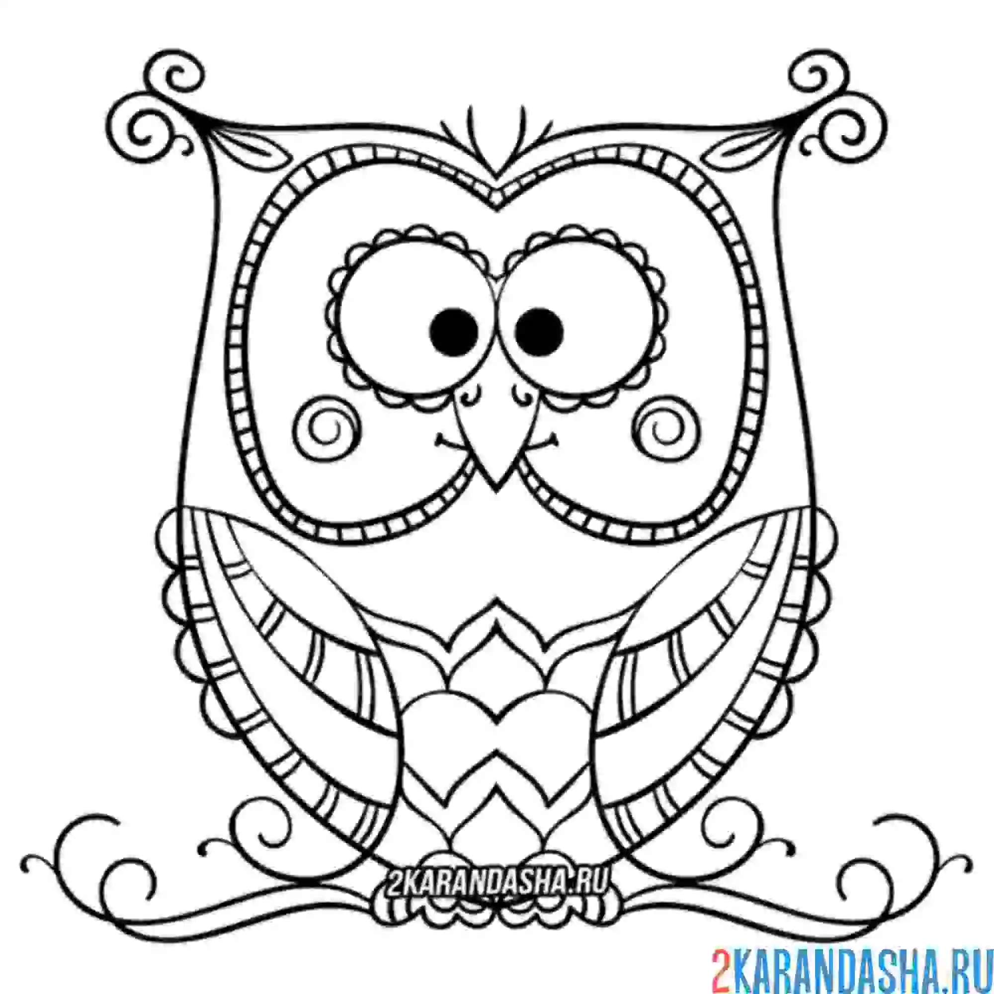 Раскраска смешная совушка