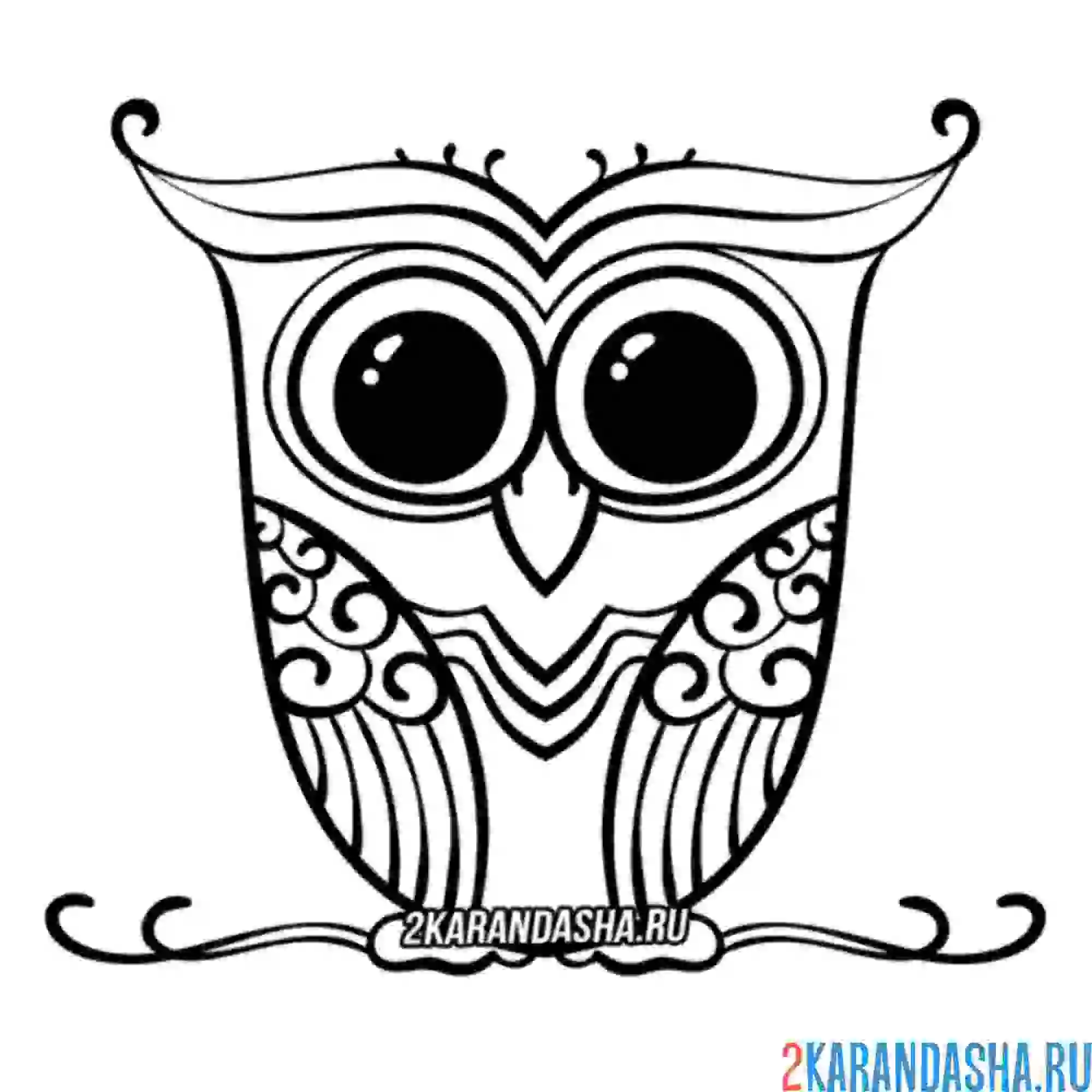 Раскраска сова с большими глазами