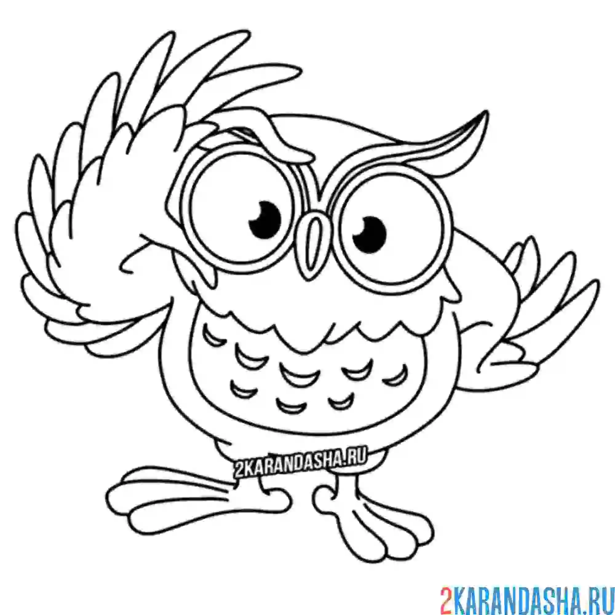 Раскраска учитель-сова