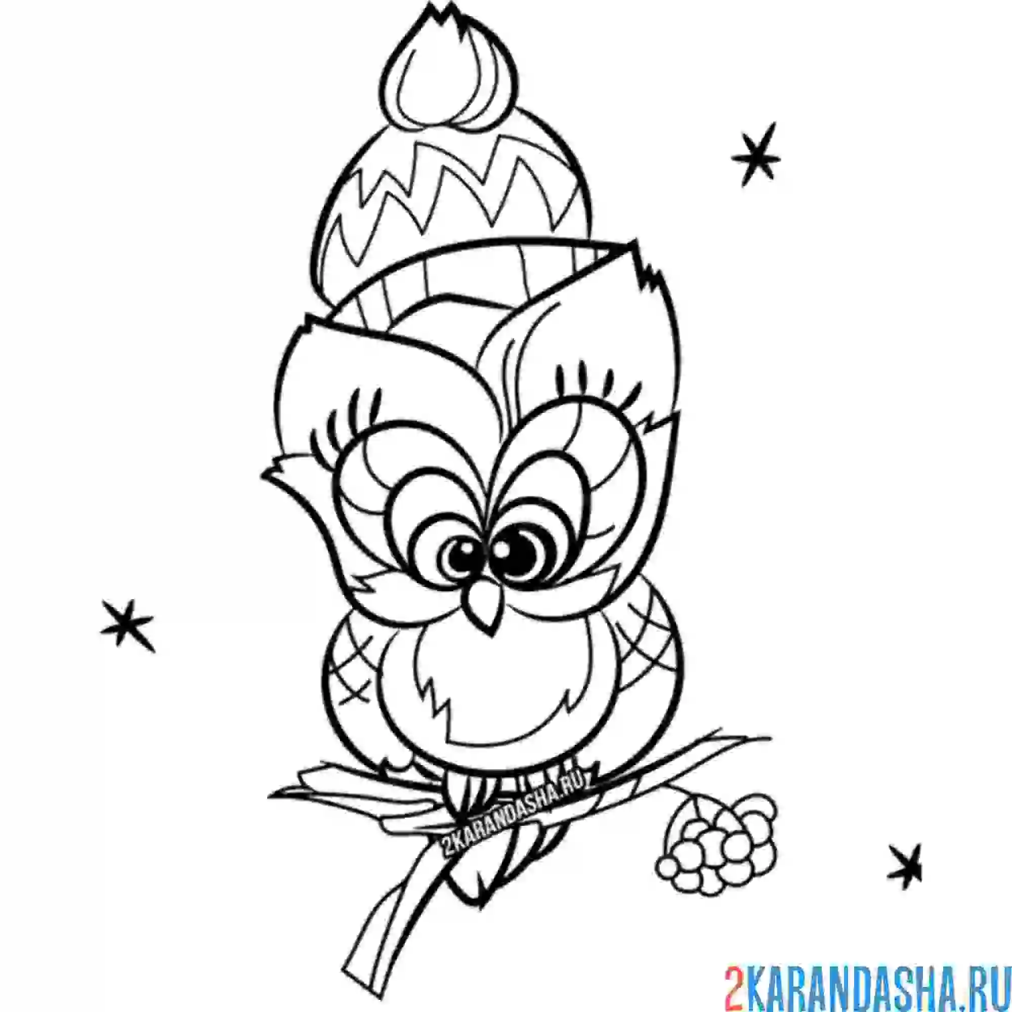 Раскраска сова в зимней шапке