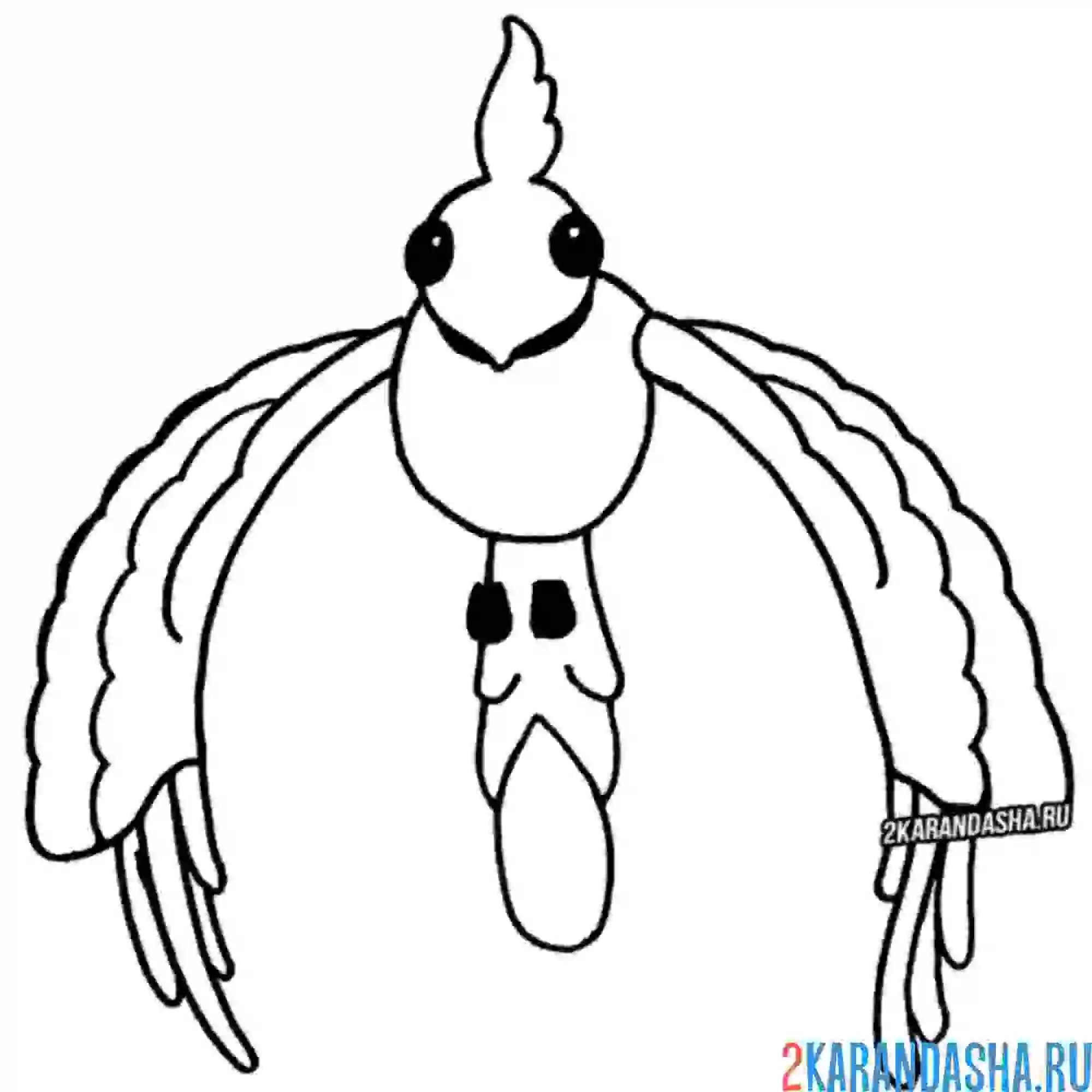 Раскраска золотой феликс