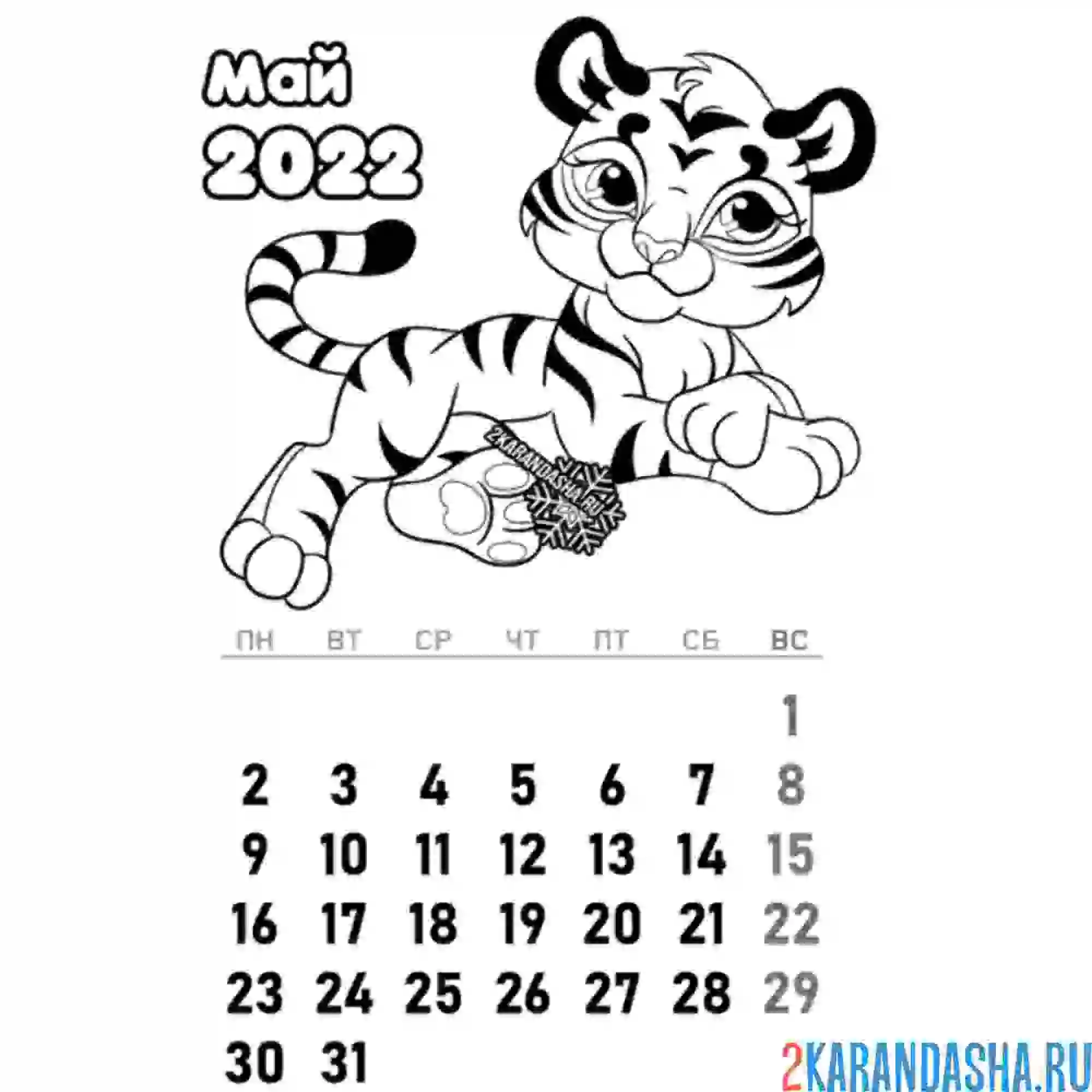 Раскраска календарь май 2022 год тигра