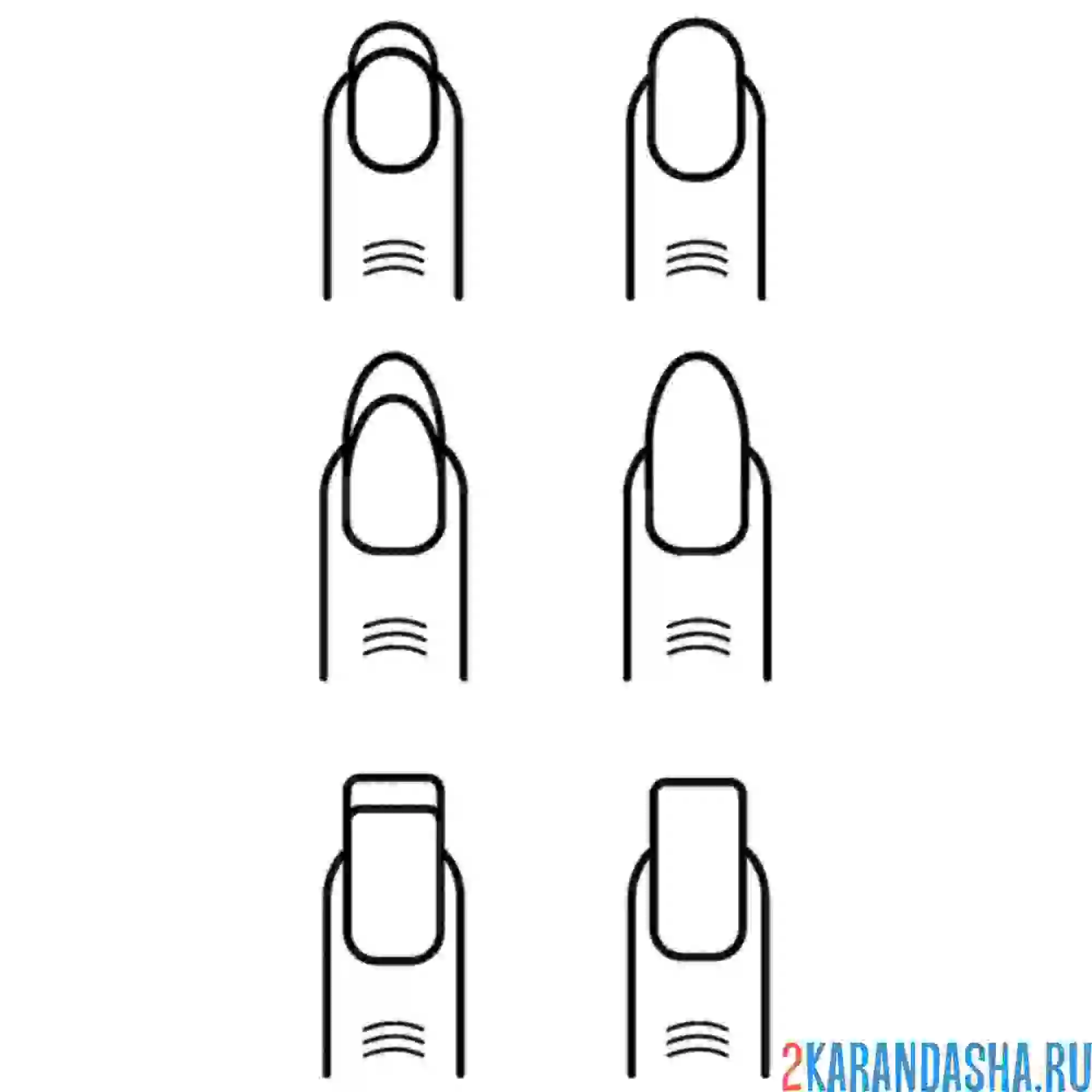 Раскраска шесть форм ногтей