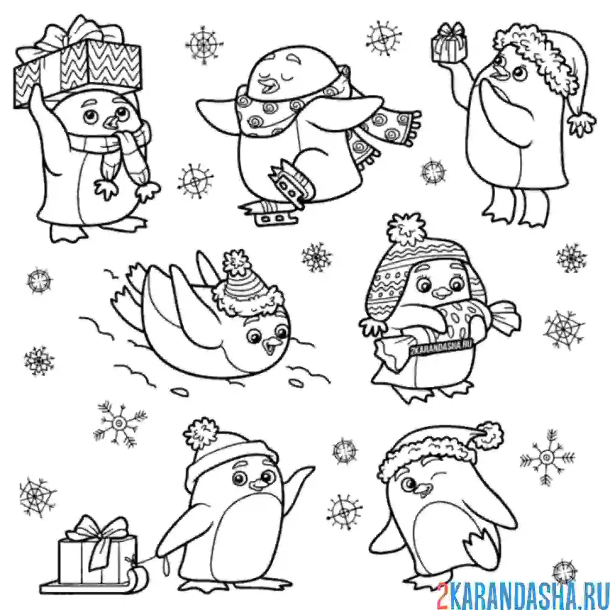 Раскраска пингвины смешные
