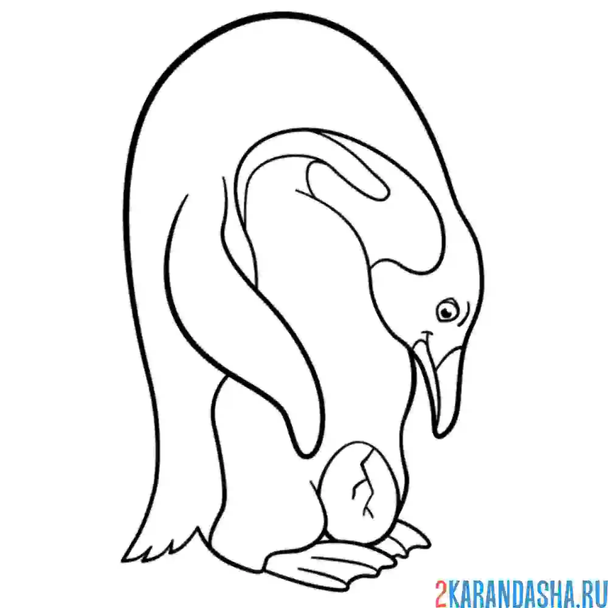 Раскраска папа пингвин смотри на яйцо