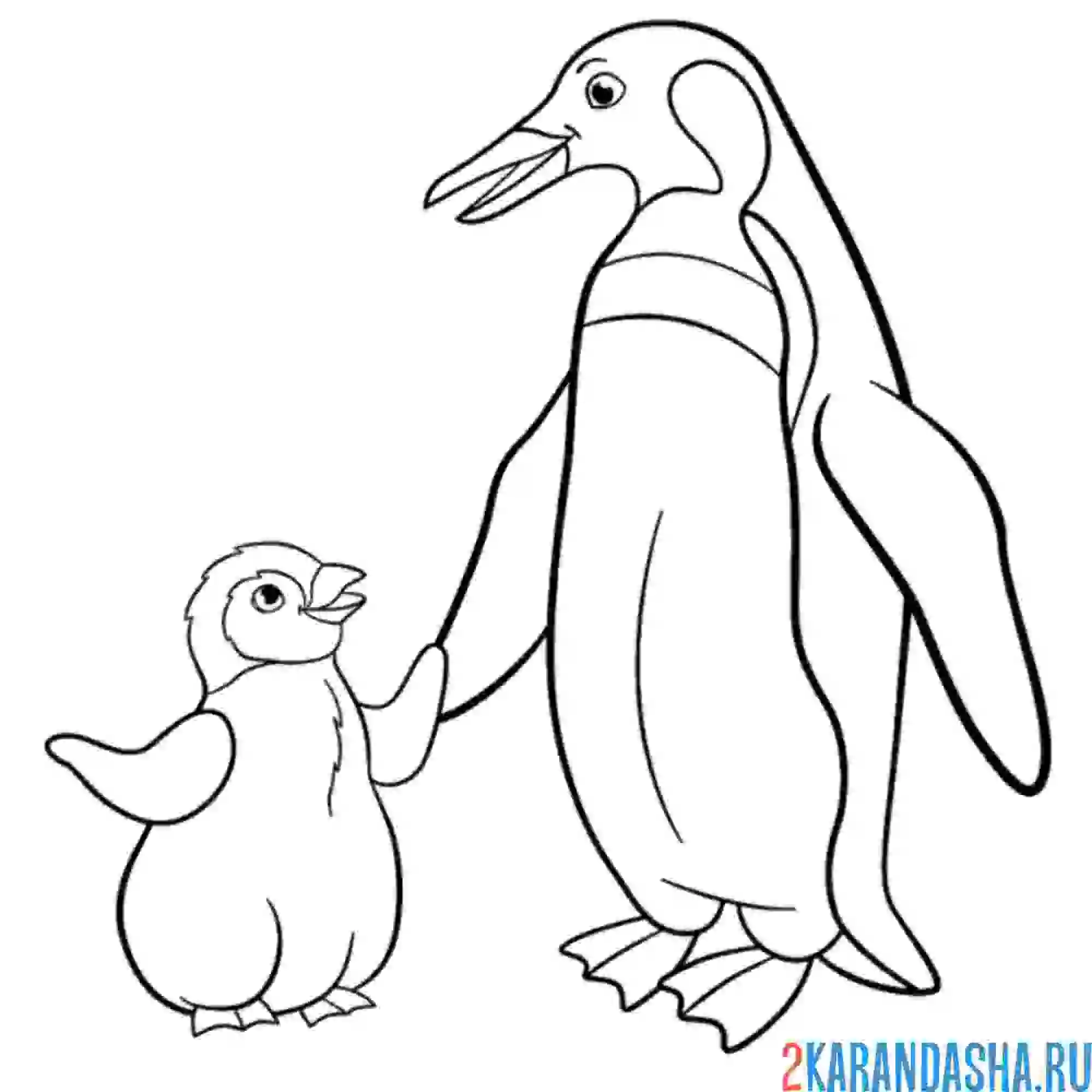 Раскраска мама пингвин и пингвиненок