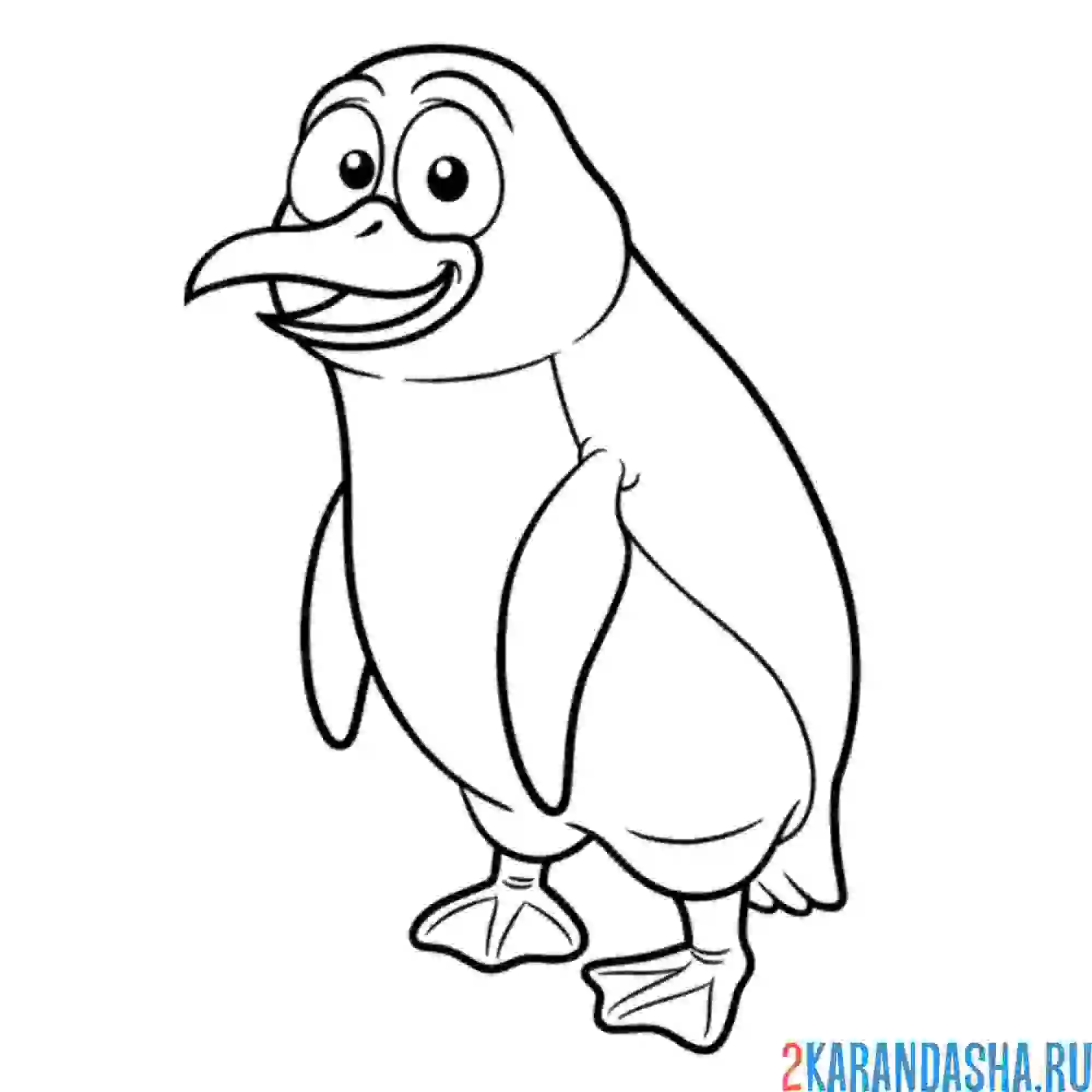 Раскраска пингвин свободный