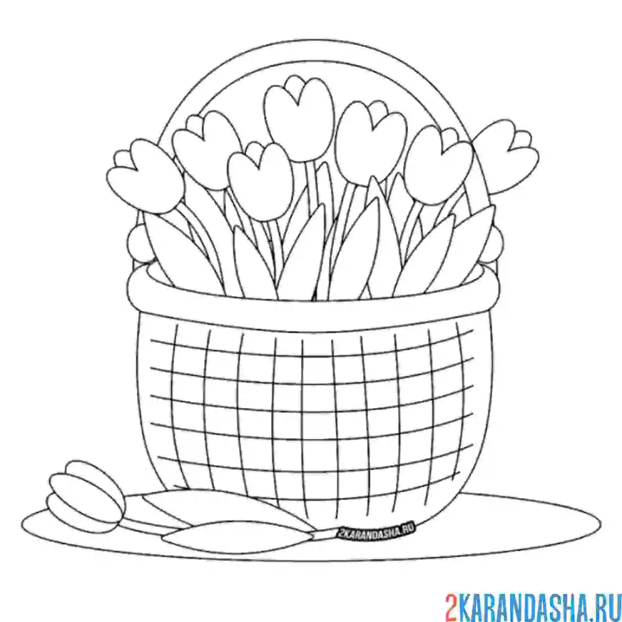 Раскраска корзинка с тюльпанами