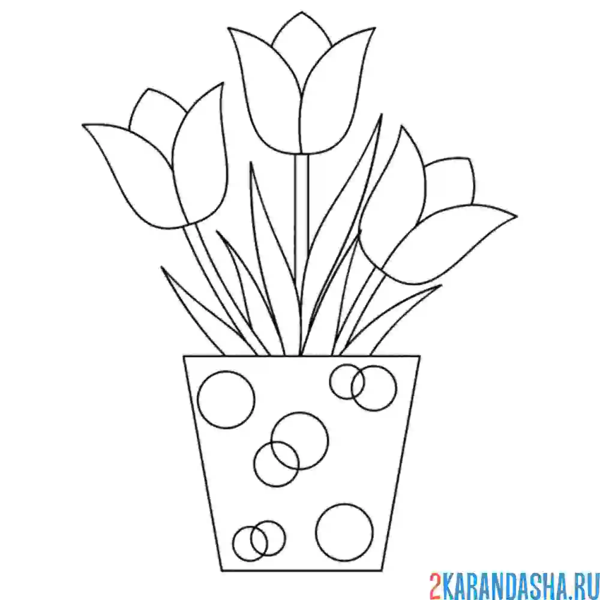Раскраска тюльпаны в ярком горшке