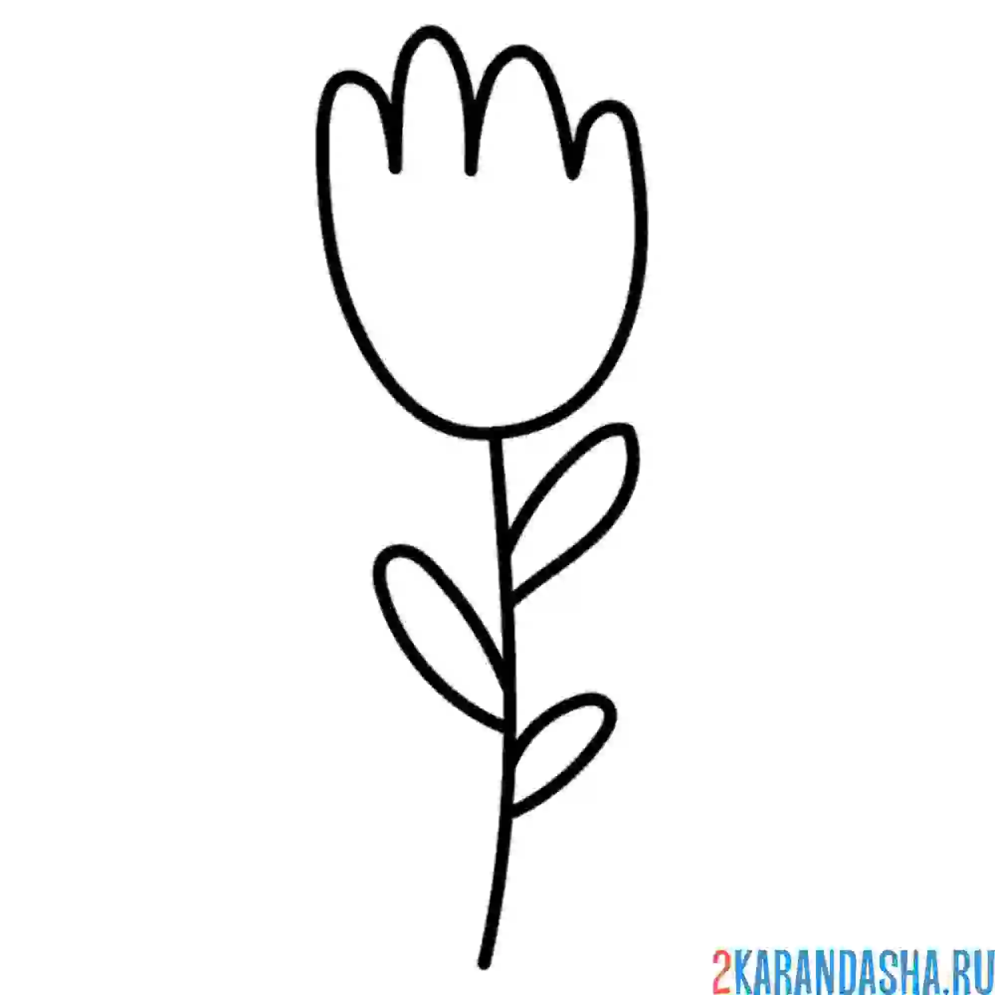 Раскраска простой тюльпан