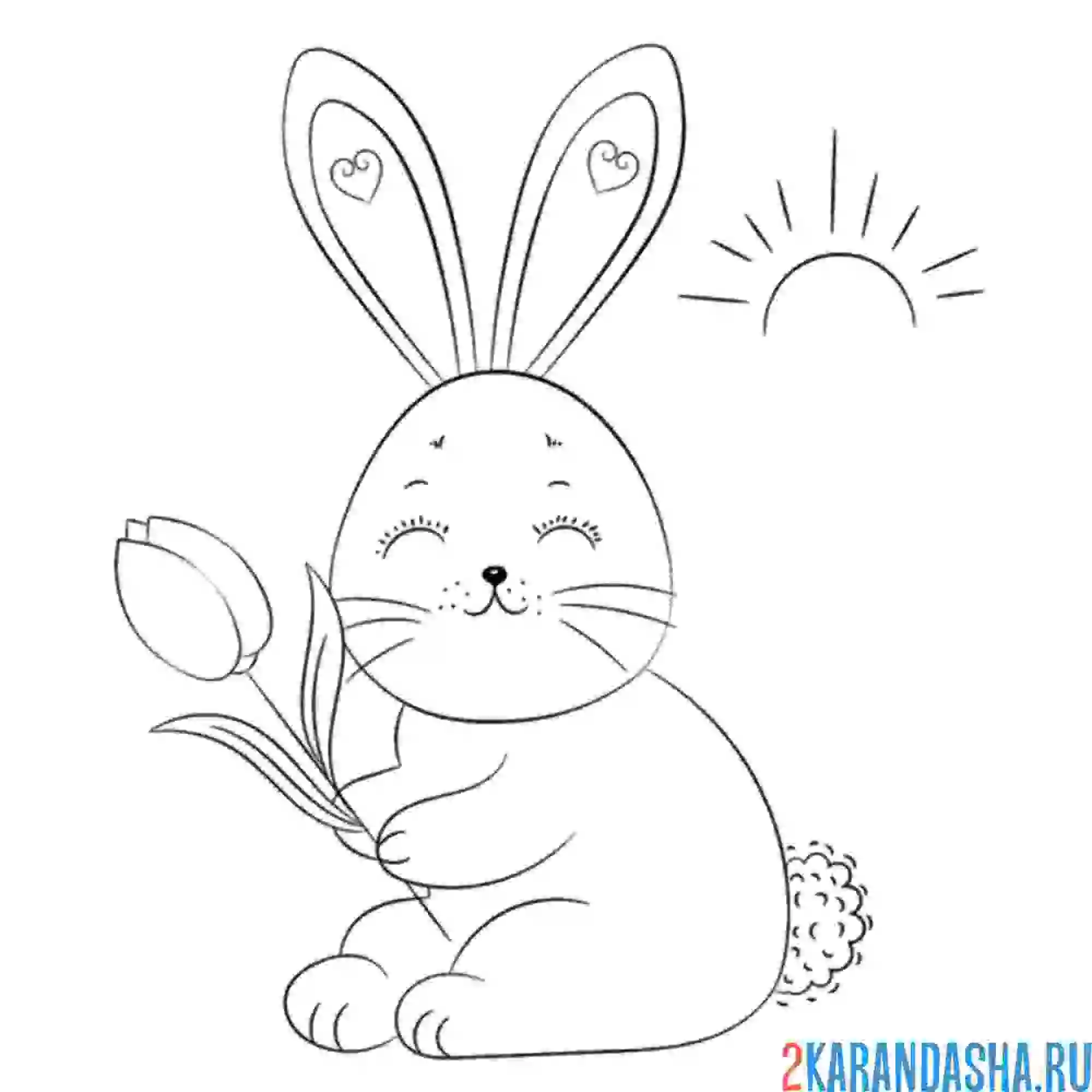 Раскраска зайчик с тюльпаном