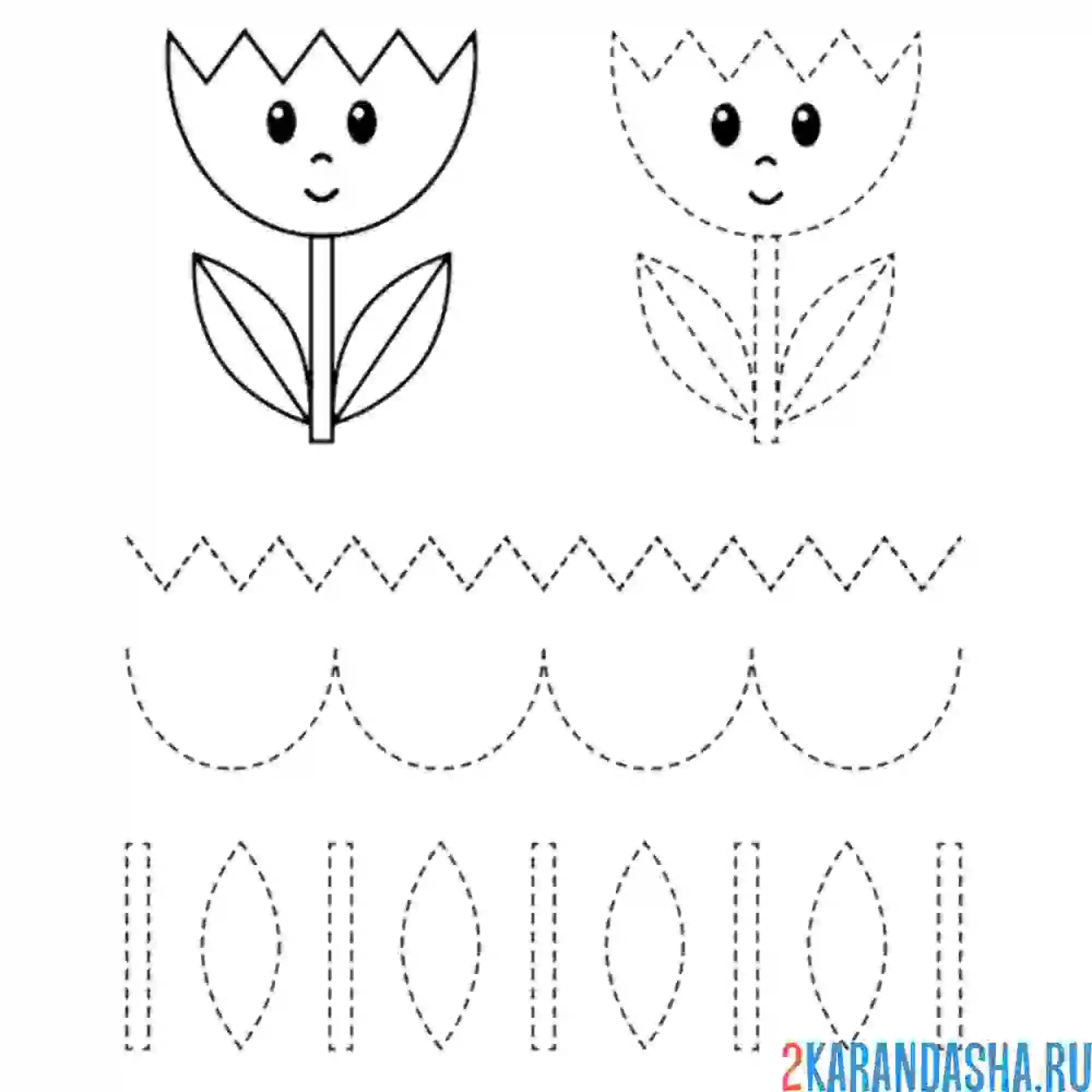 Раскраска обведи цветок тюльпан