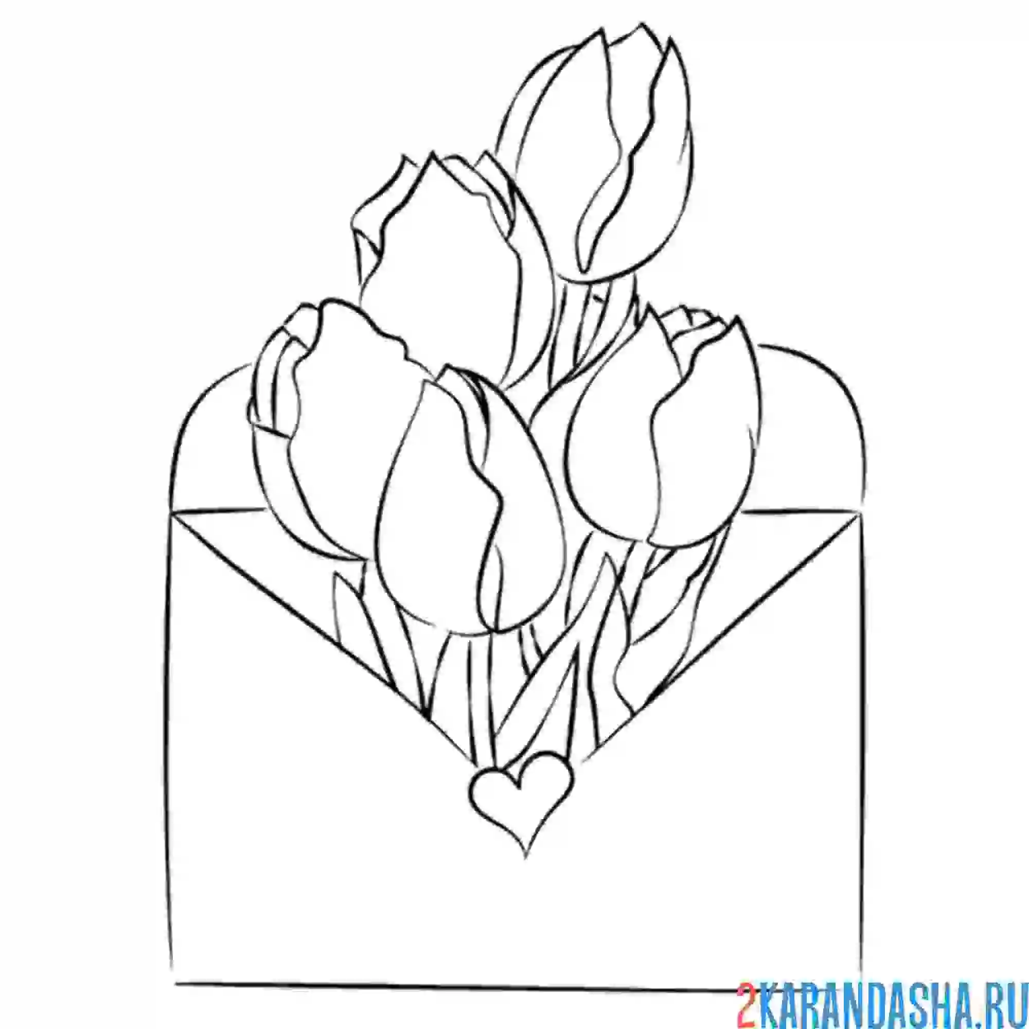 Раскраска тюльпаны в конверте