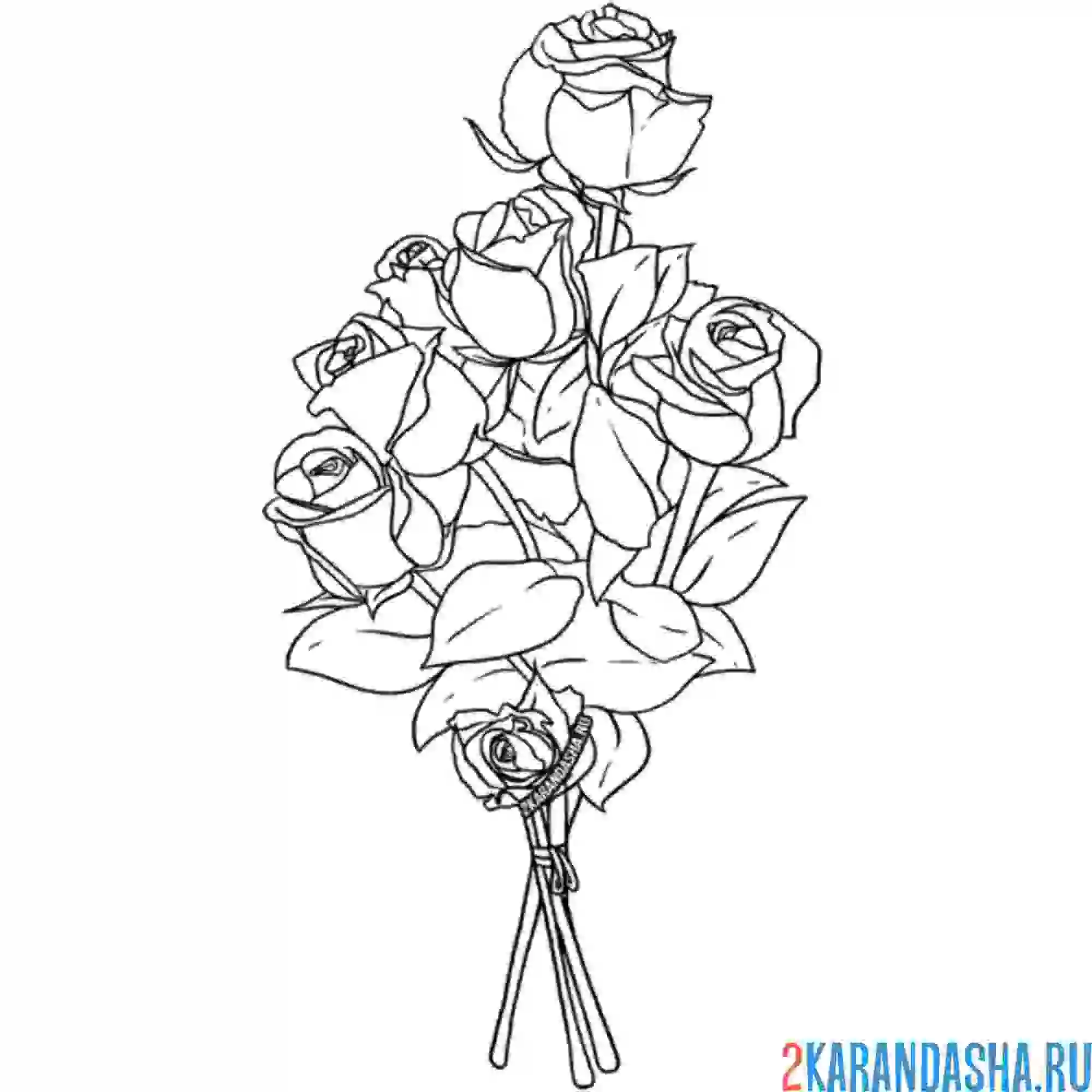 Раскраска розы без упаковки