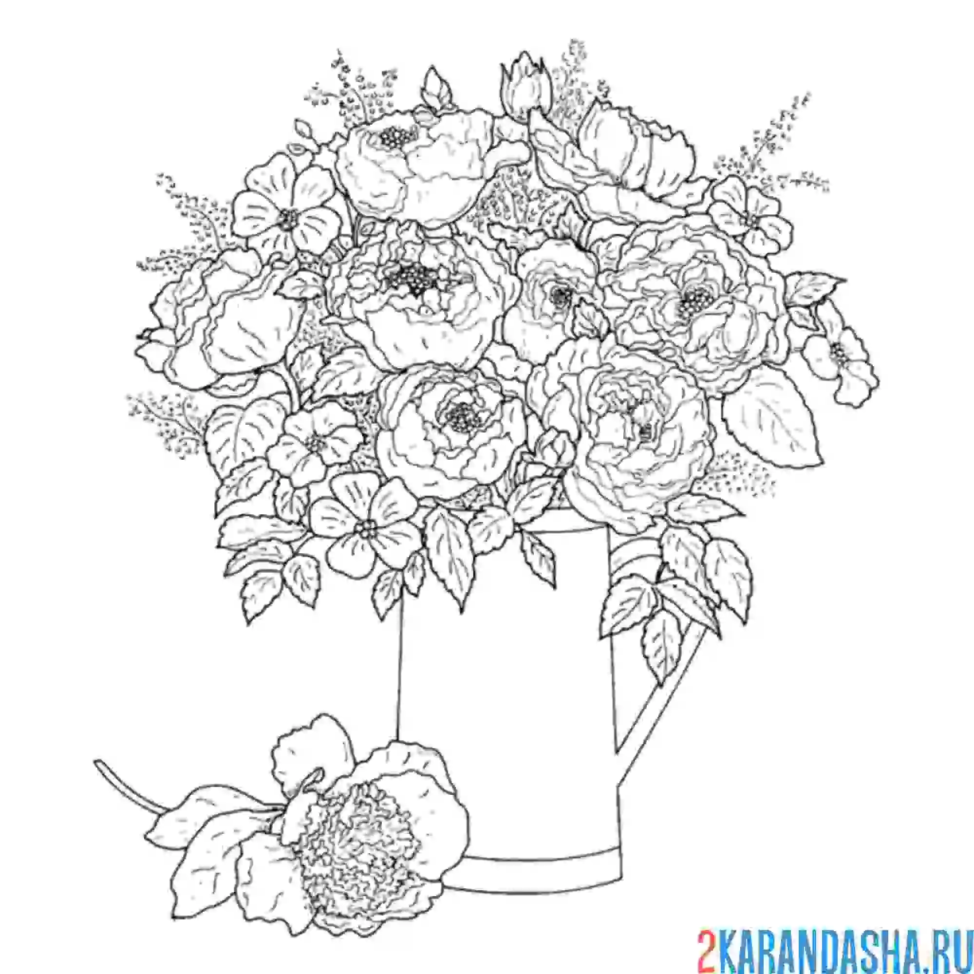 Раскраска цветы для букета