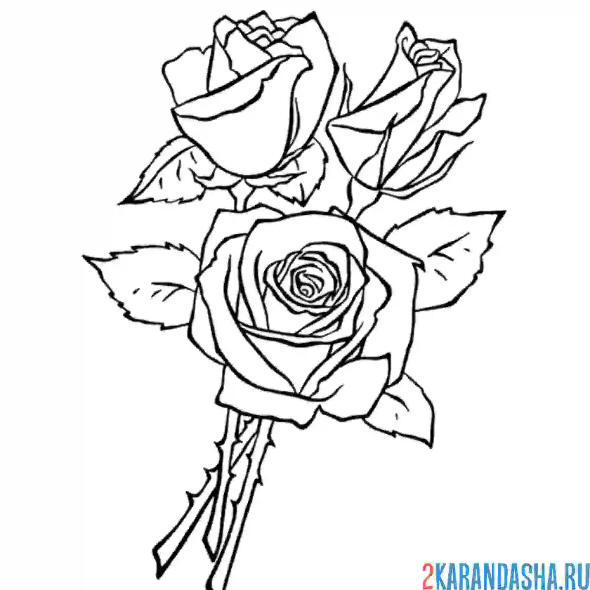 Раскраска три розы подарить