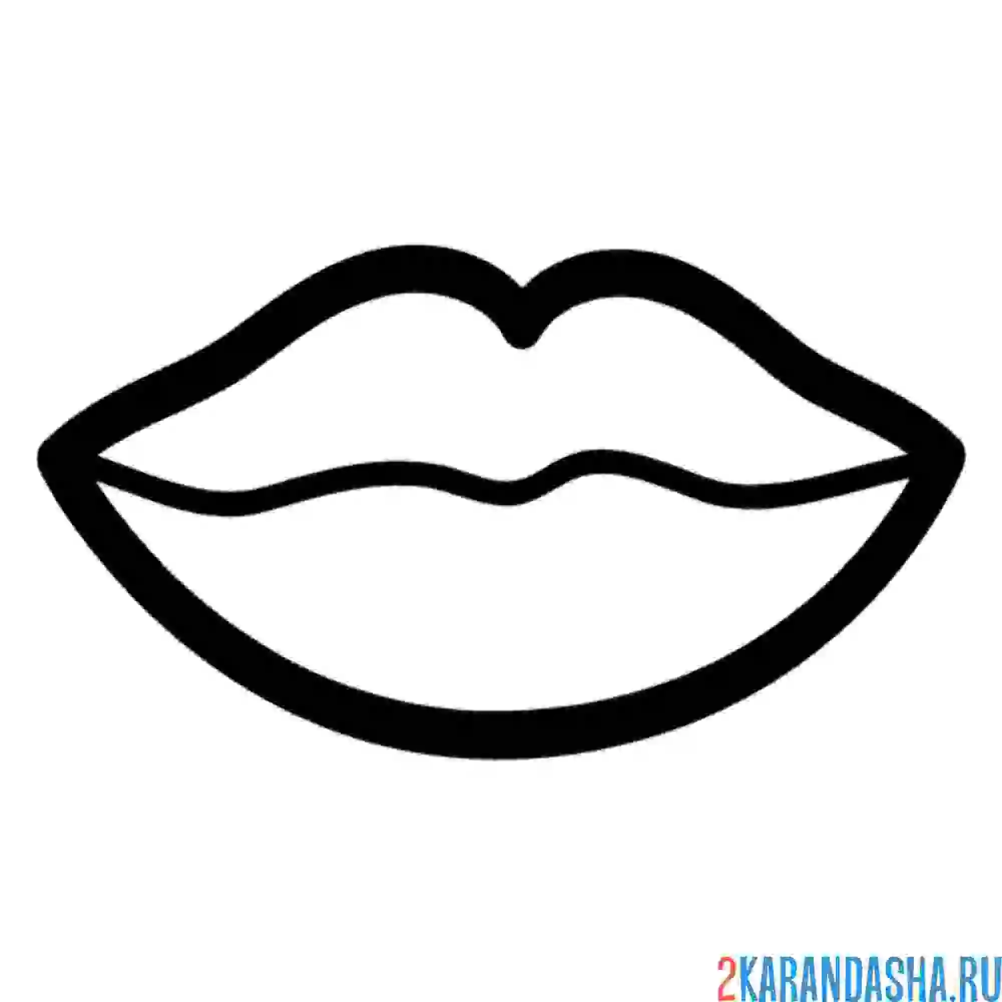 Раскраска хорошие губки