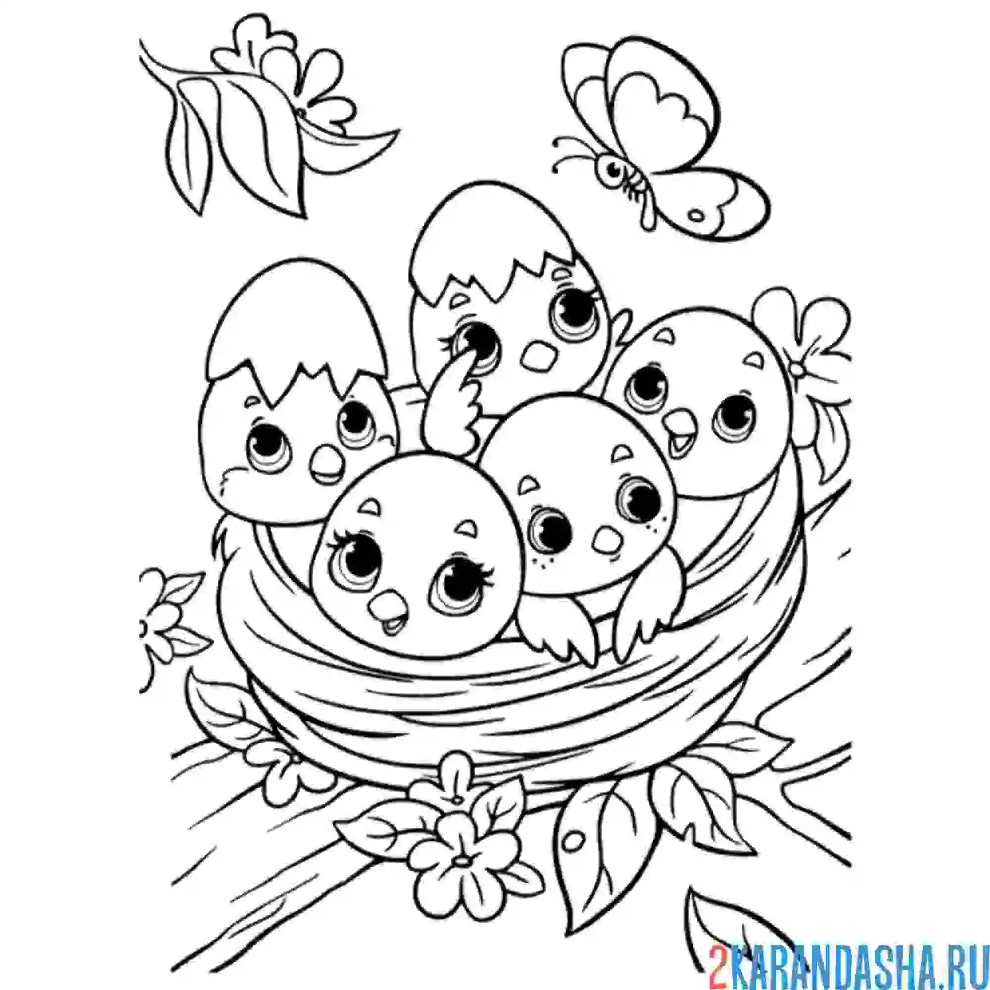 Раскраска много птенчиков в гнезде