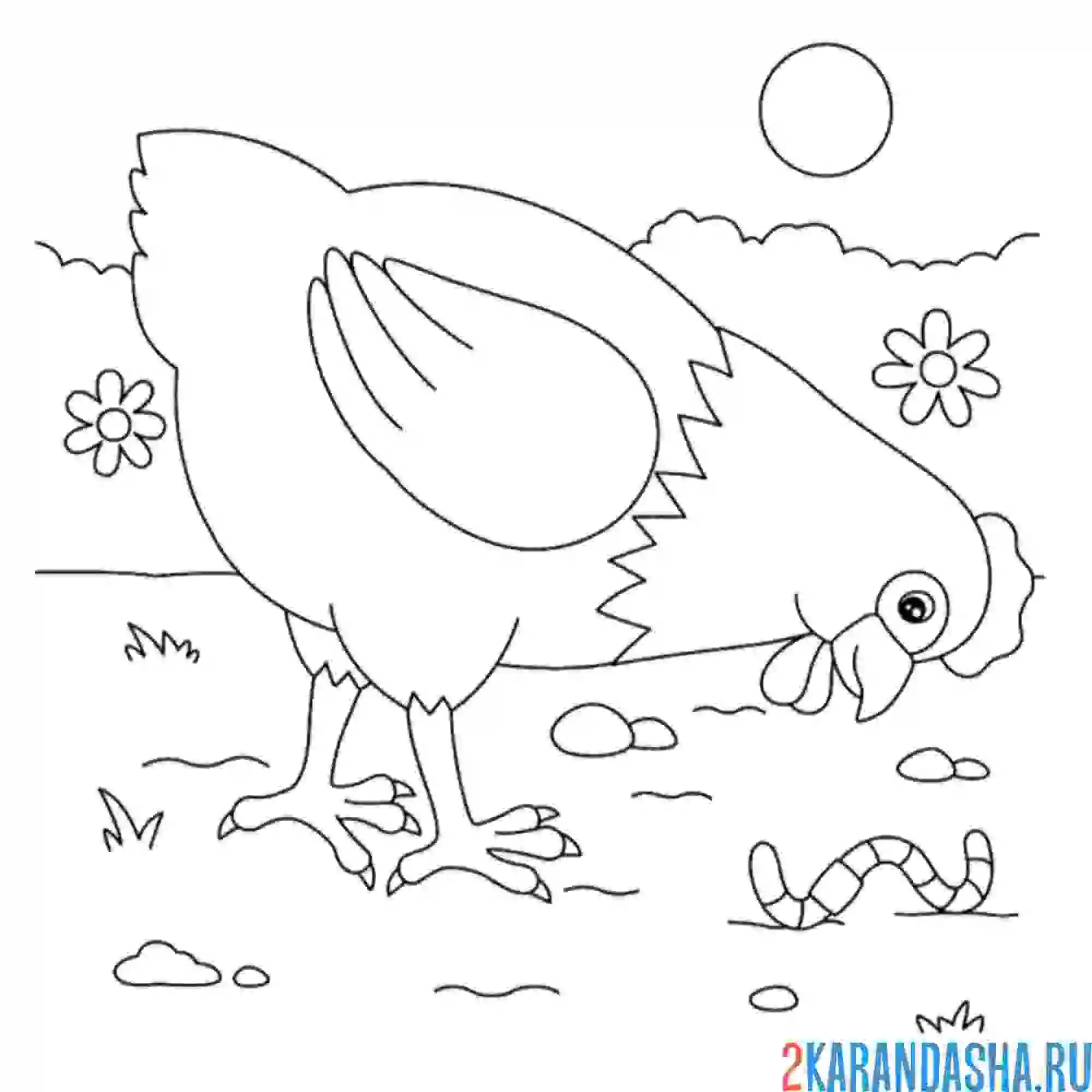 Раскраска курица нашла червяка