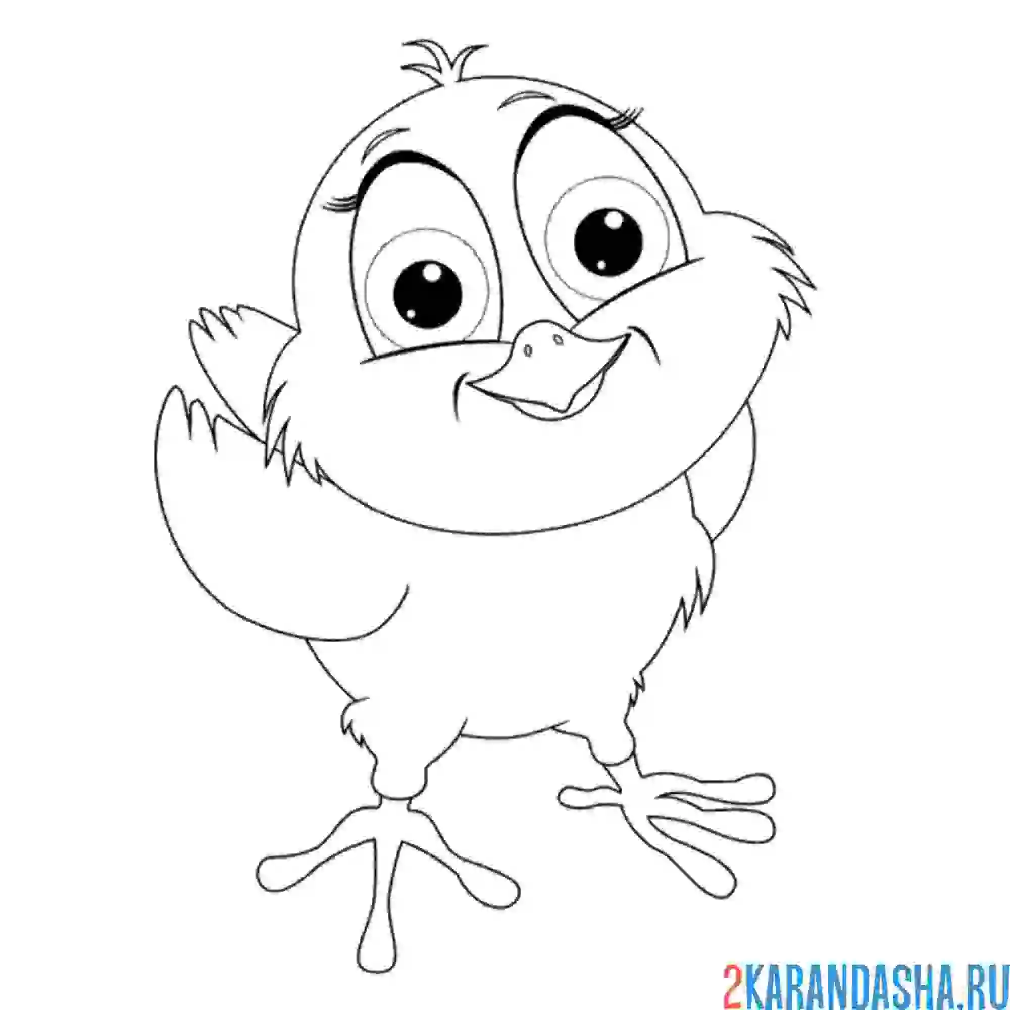 Раскраска цыпленок с большими глазами