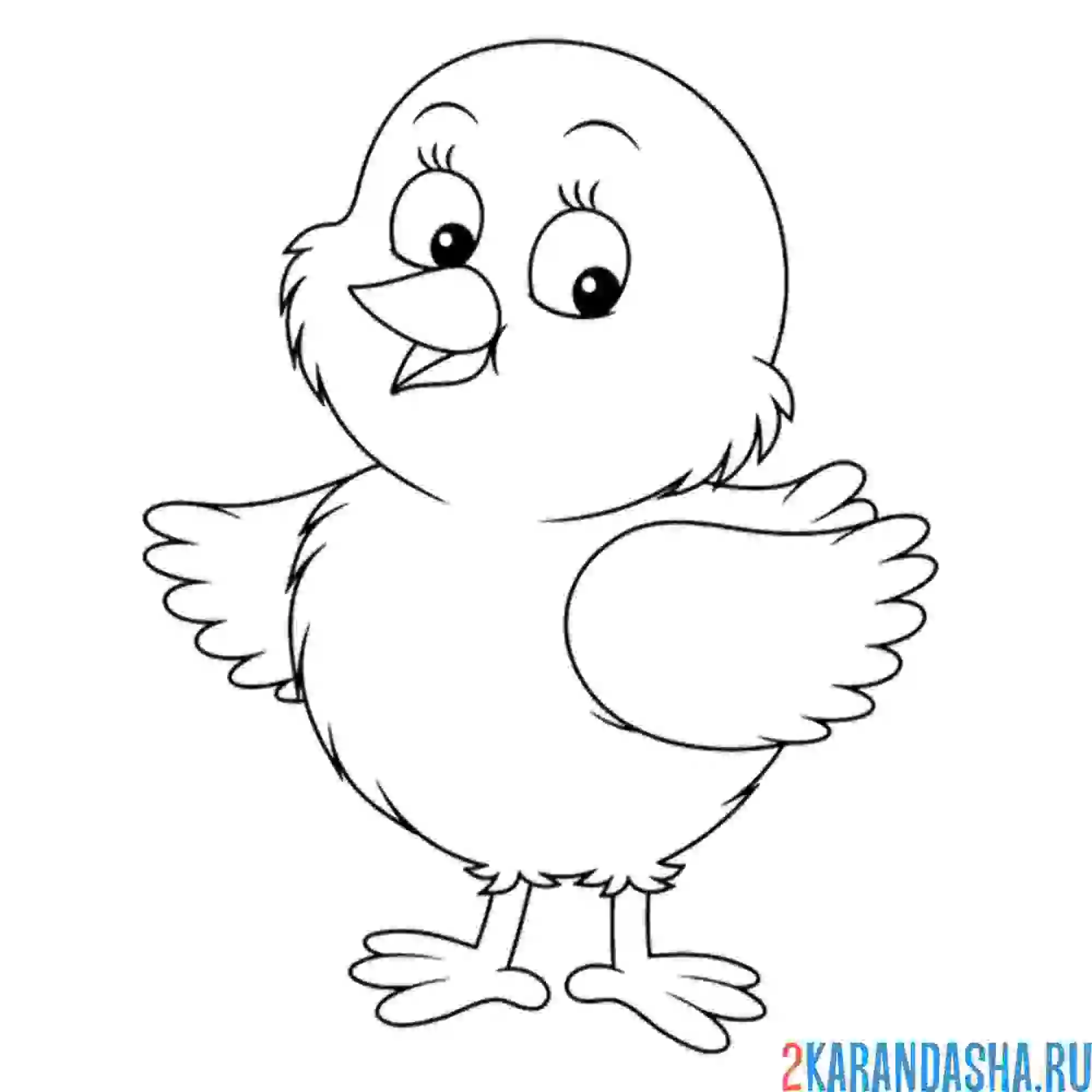 Раскраска маленький цыпленок