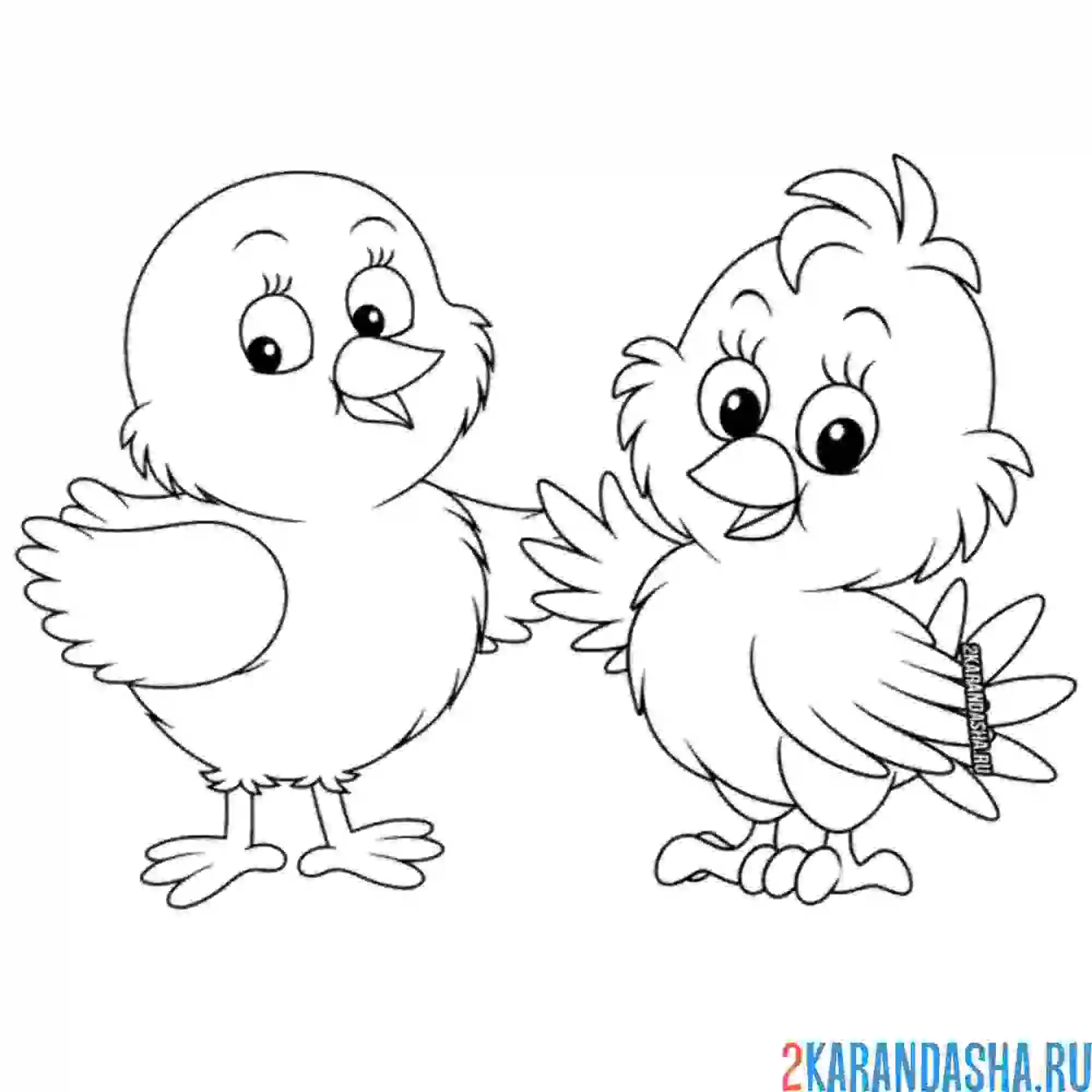 Раскраска два друга цыпленка