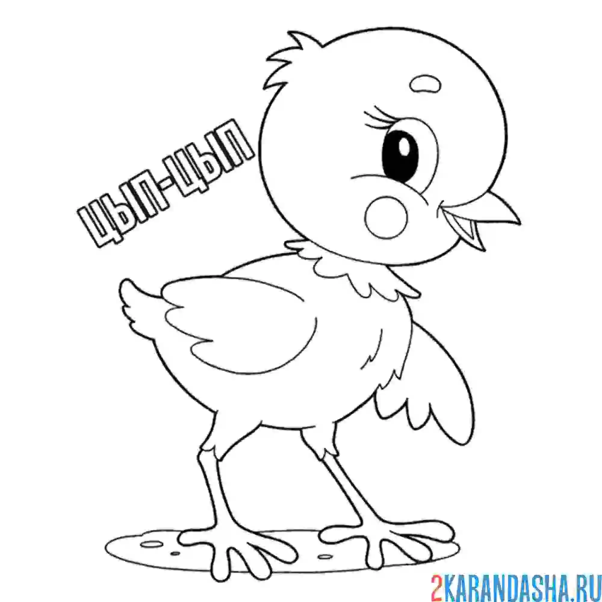 Раскраска цып-цып цыпленок