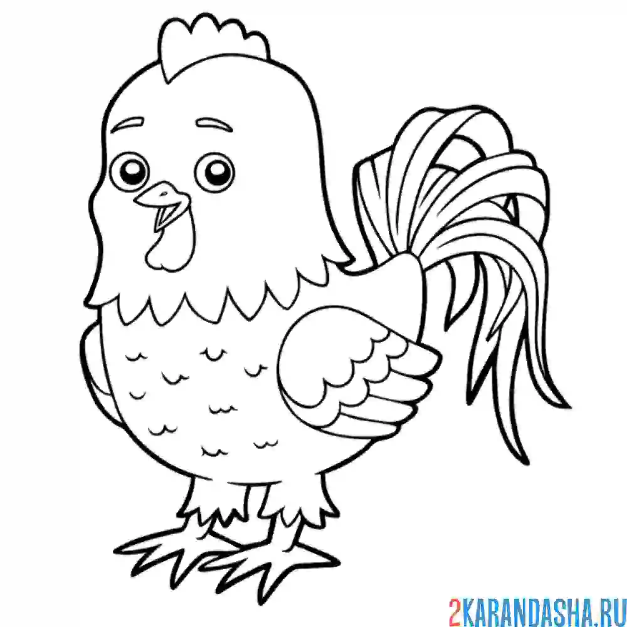 Раскраска милый петушок