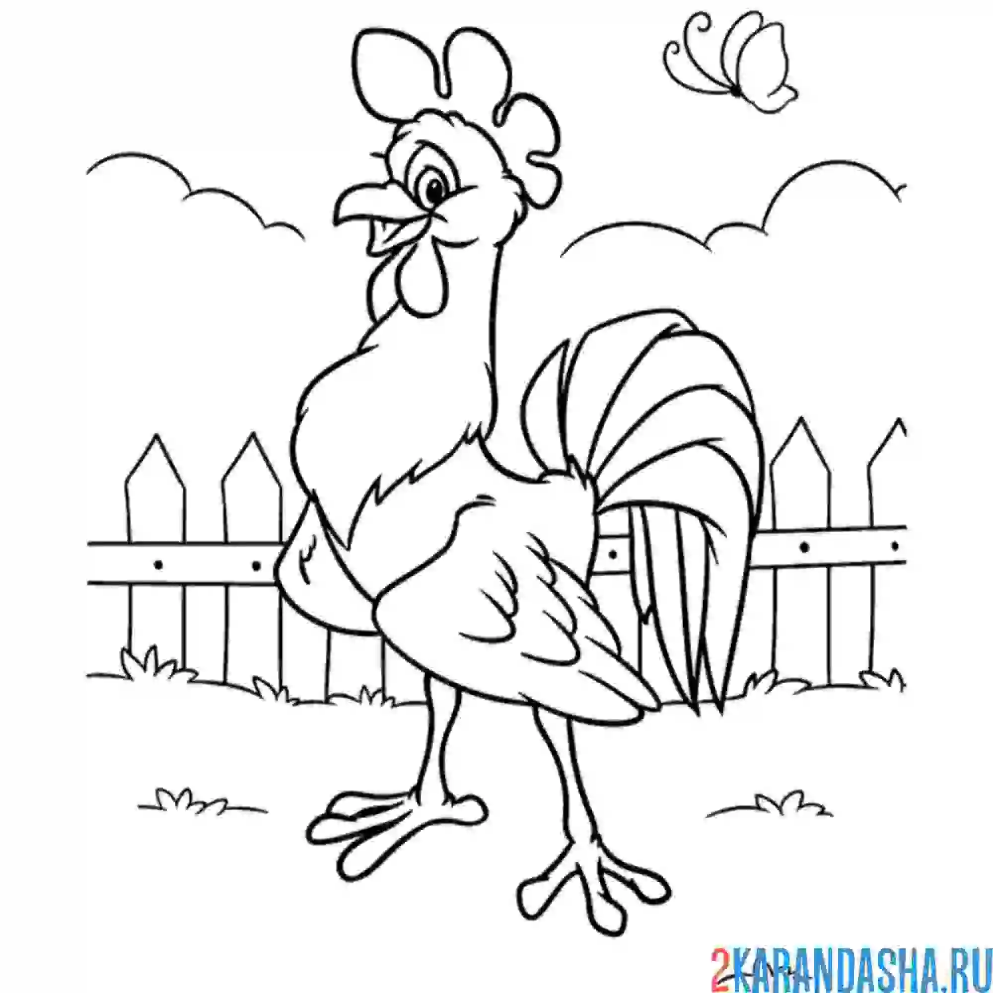 Раскраска статный петух