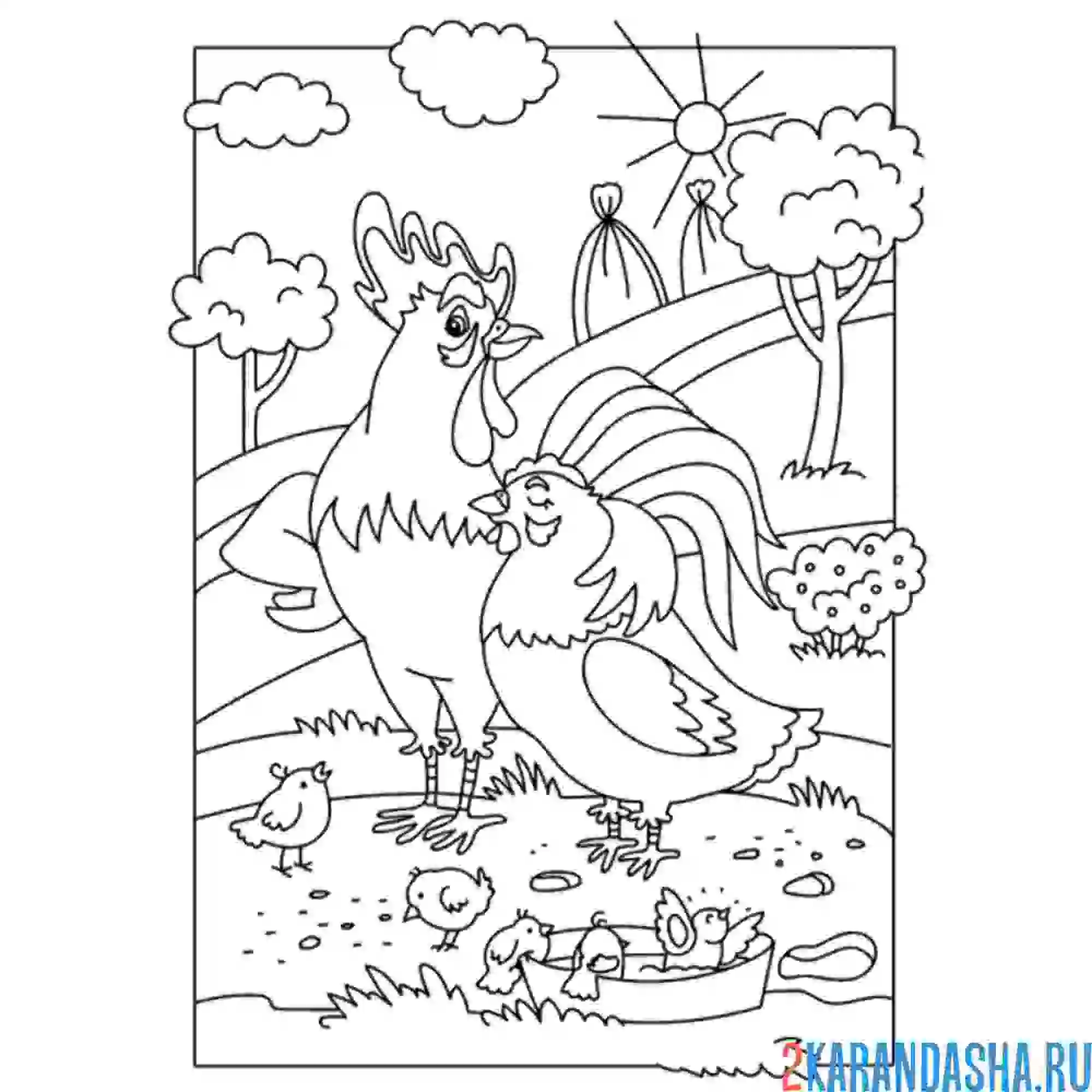 Раскраска петух любит свою курицу